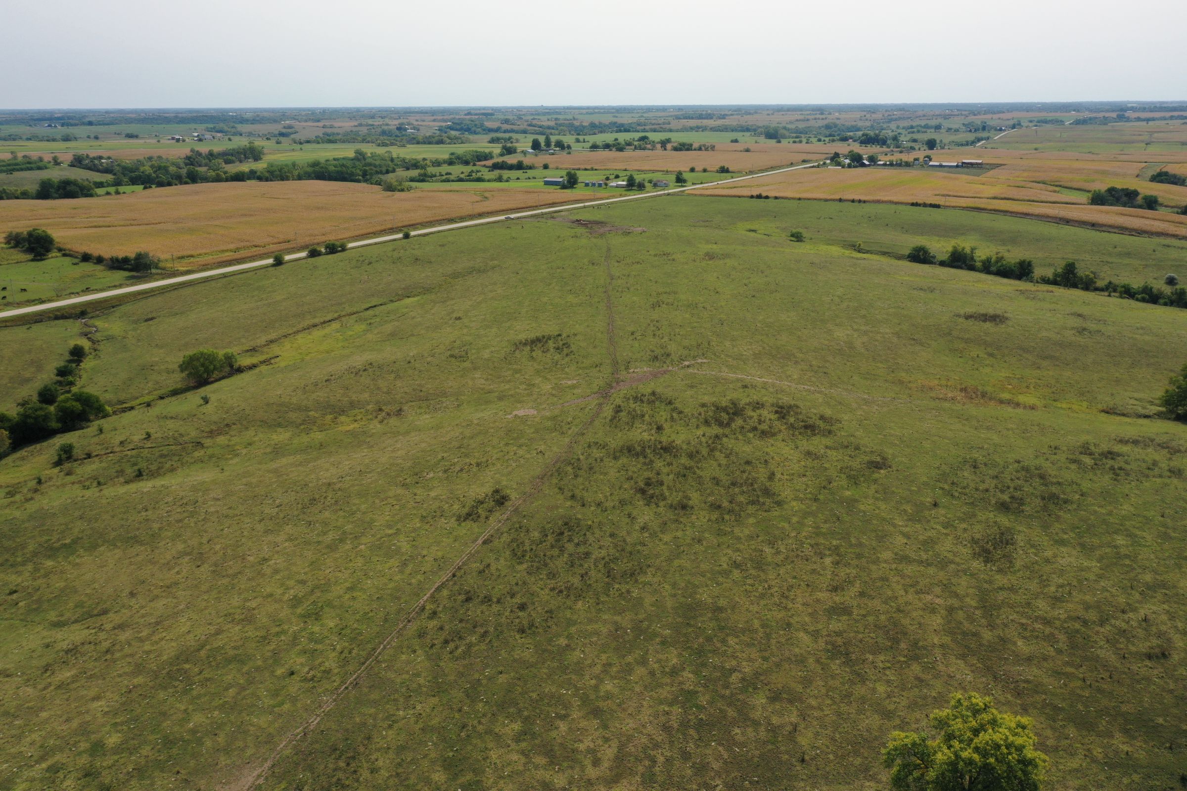 land-clarke-county-iowa-160-acres-listing-number-15173-1-2020-09-15-193337.jpg