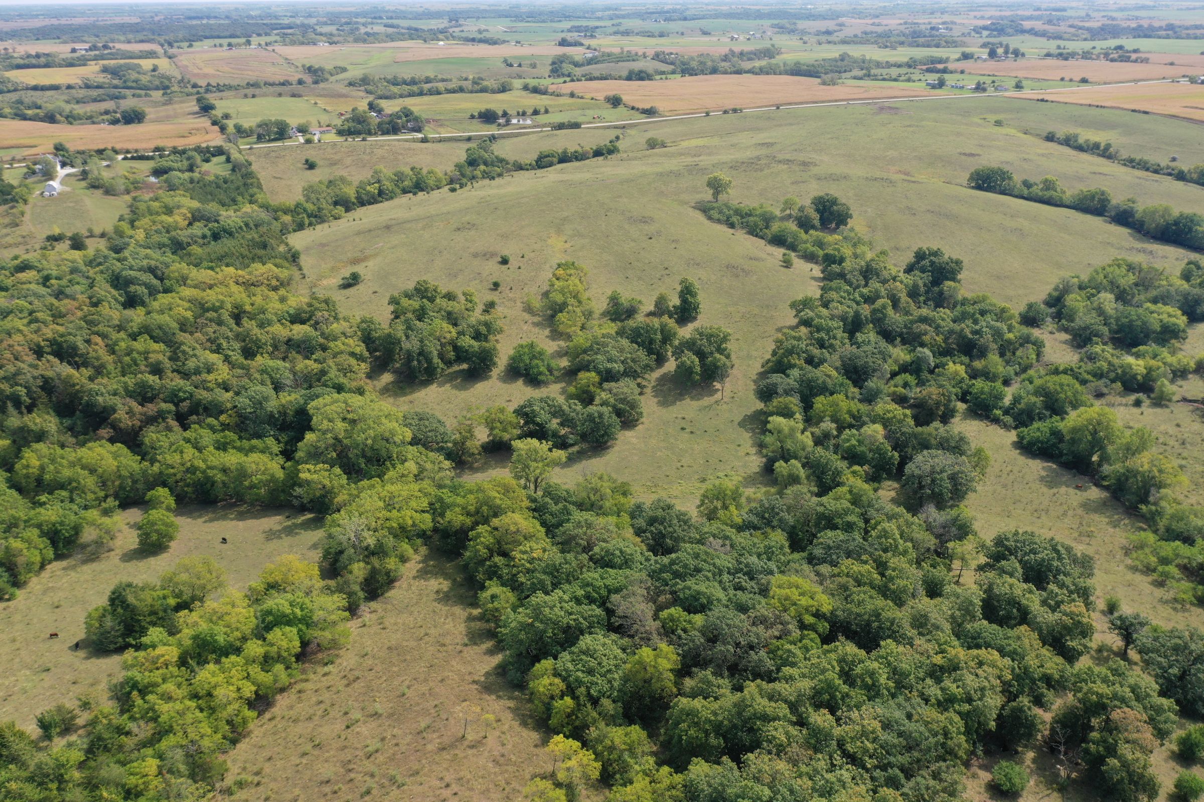 land-clarke-county-iowa-160-acres-listing-number-15173-2-2020-09-15-193339.jpg