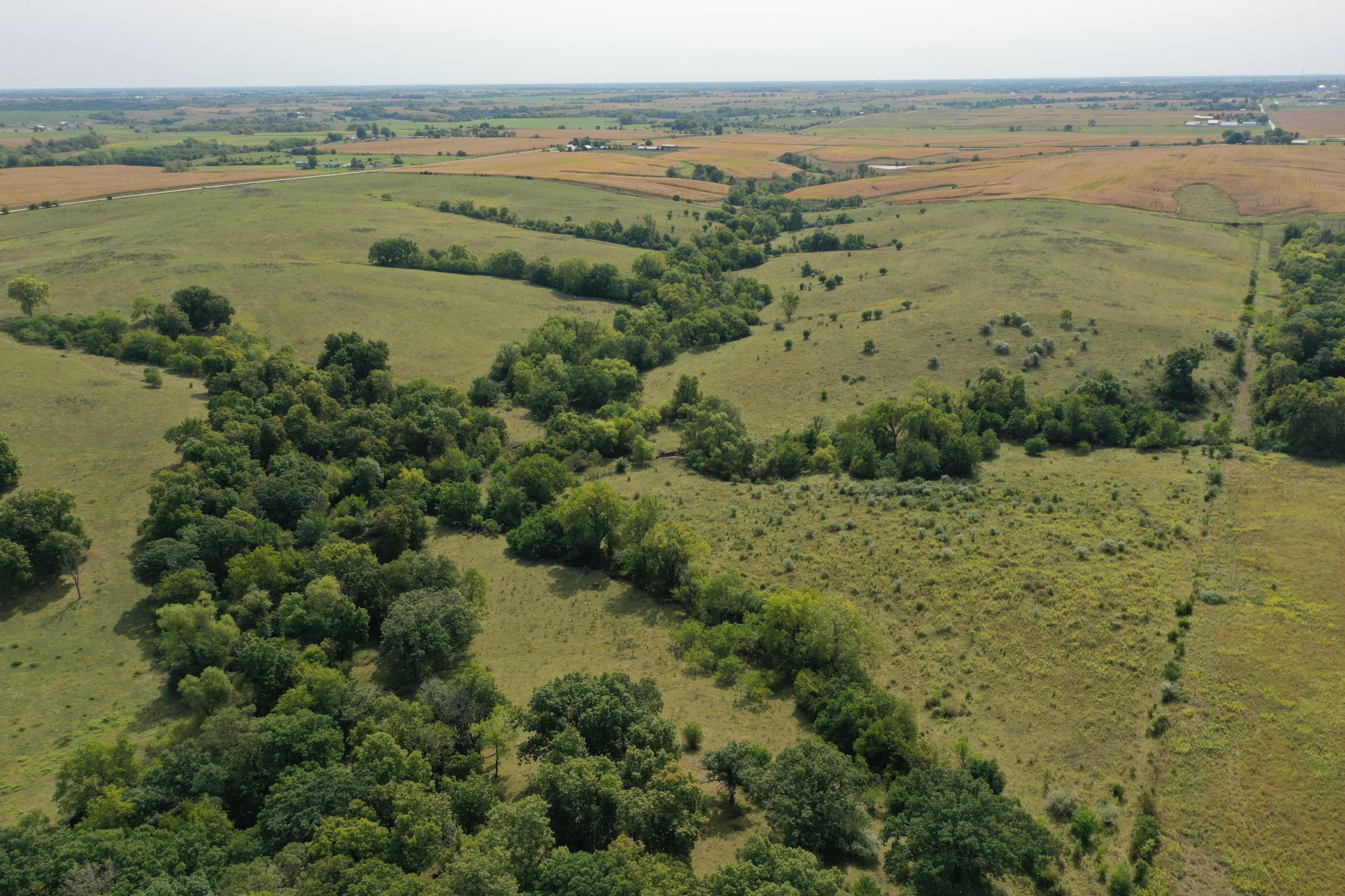 land-clarke-county-iowa-160-acres-listing-number-15173-3-2020-09-15-193340.jpg