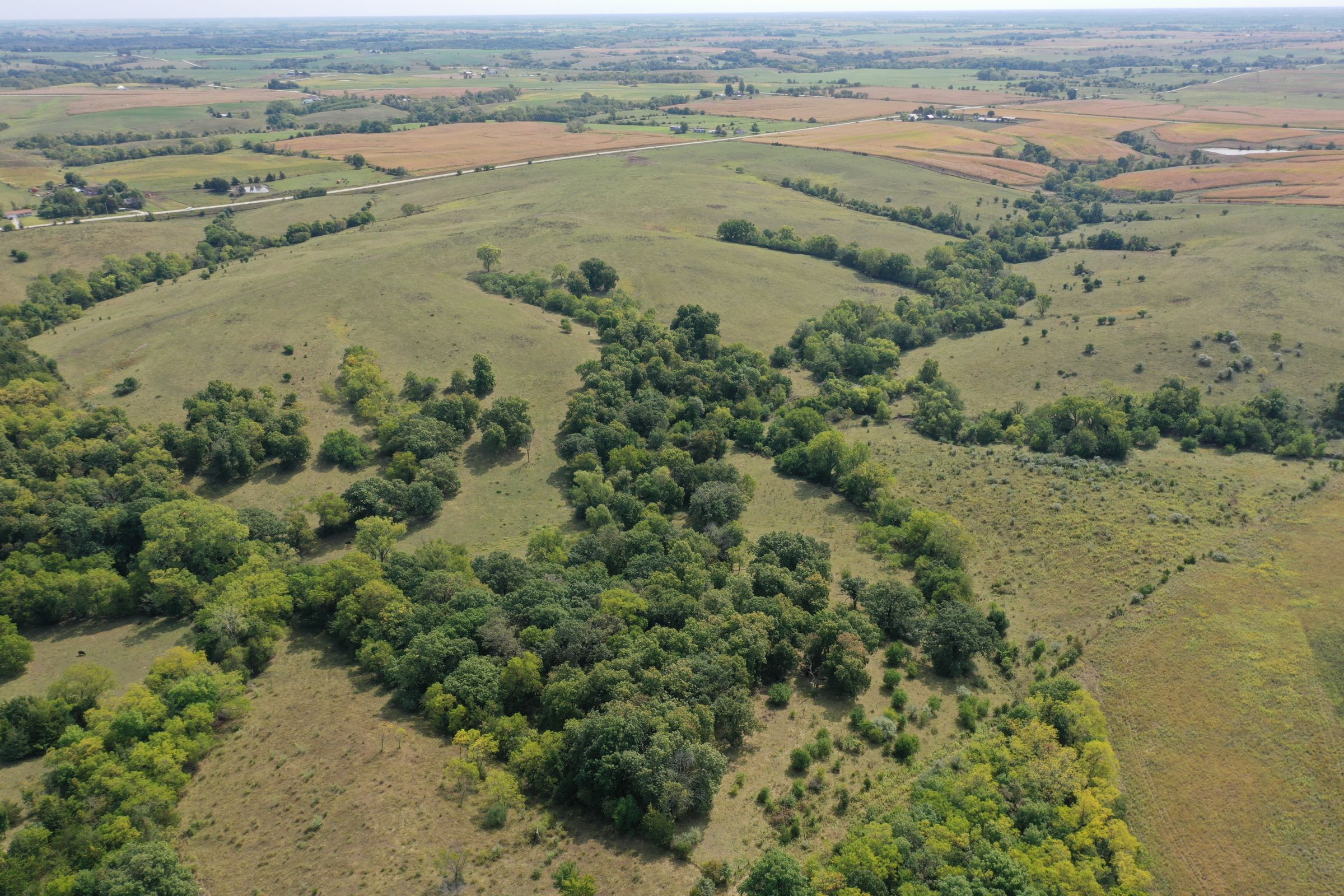 land-clarke-county-iowa-160-acres-listing-number-15173-4-2020-09-15-193342.jpg