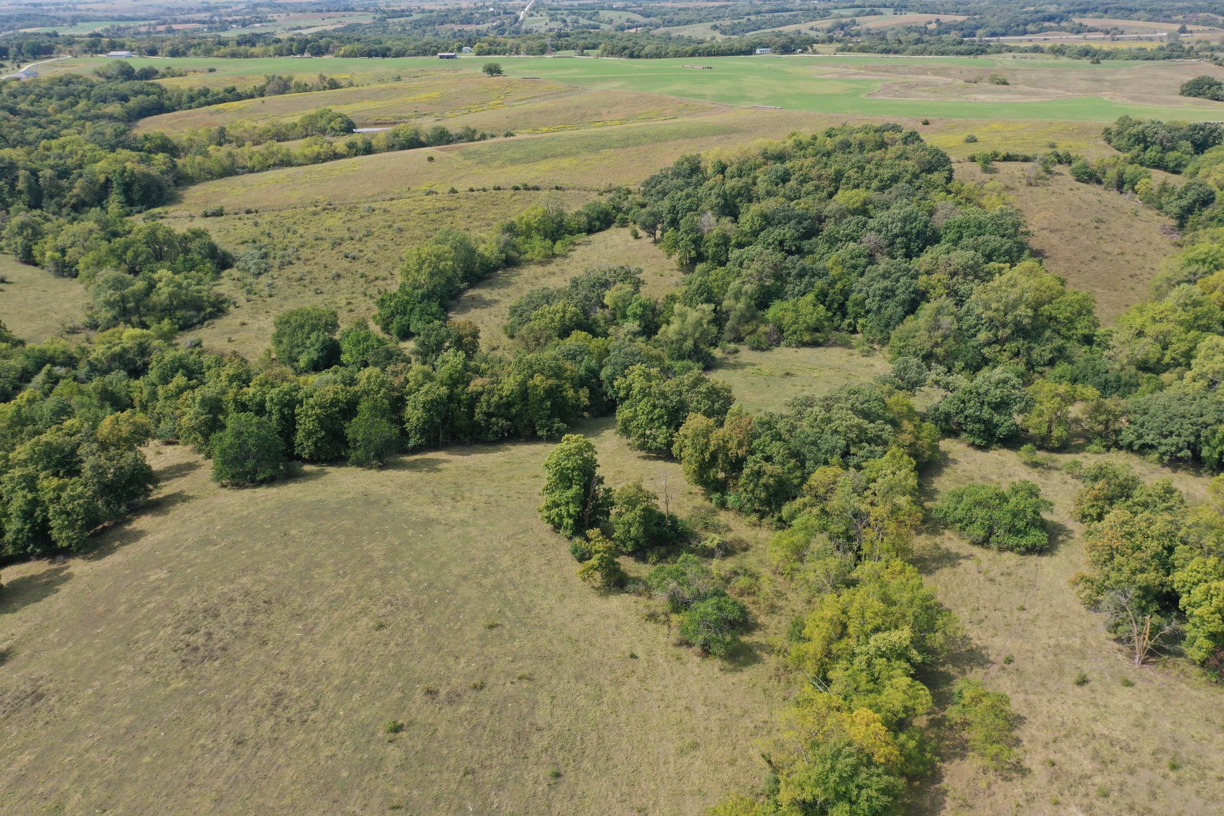 land-clarke-county-iowa-160-acres-listing-number-15173-5-2020-09-15-193131.jpg