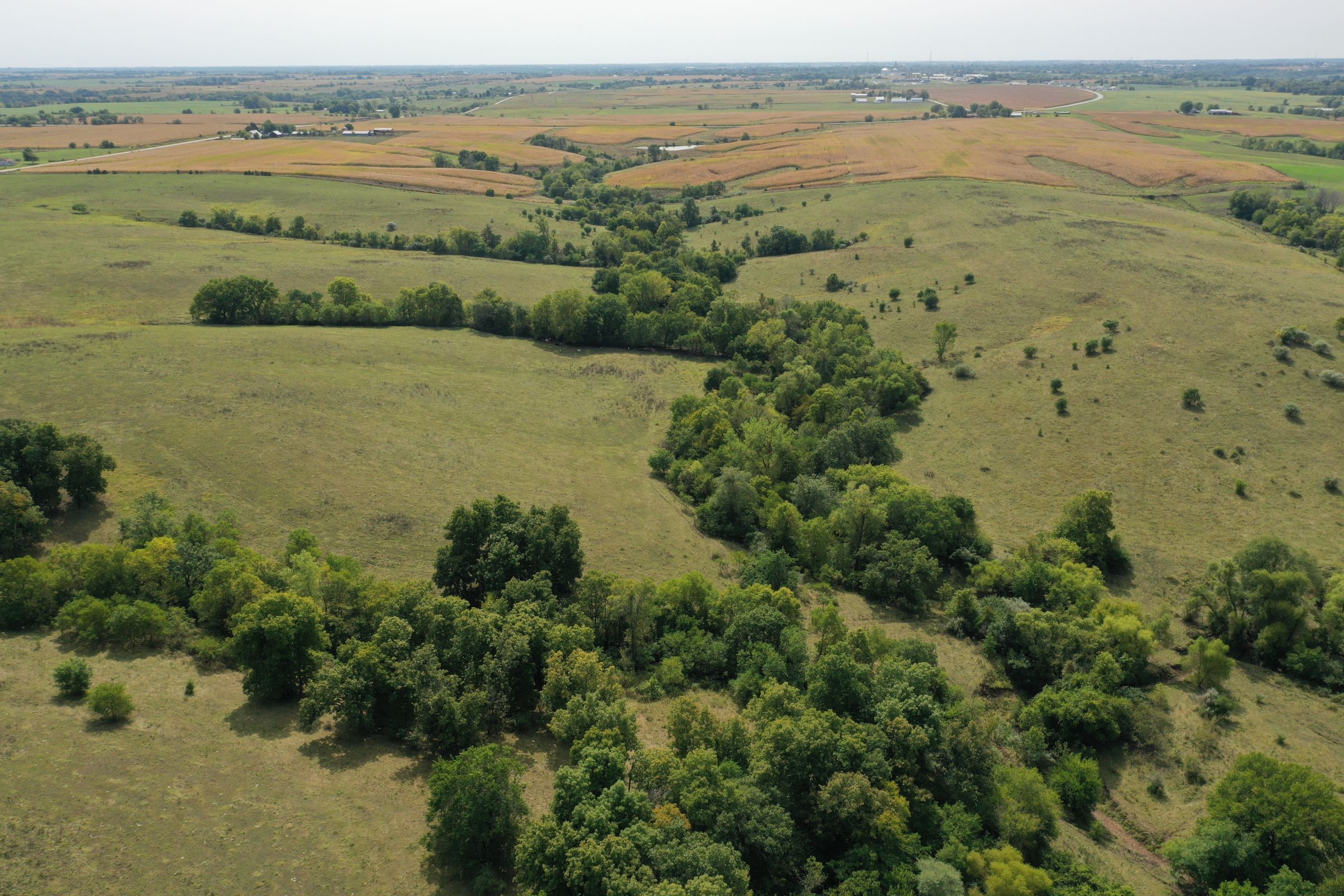 land-clarke-county-iowa-160-acres-listing-number-15173-6-2020-09-15-193345.jpg