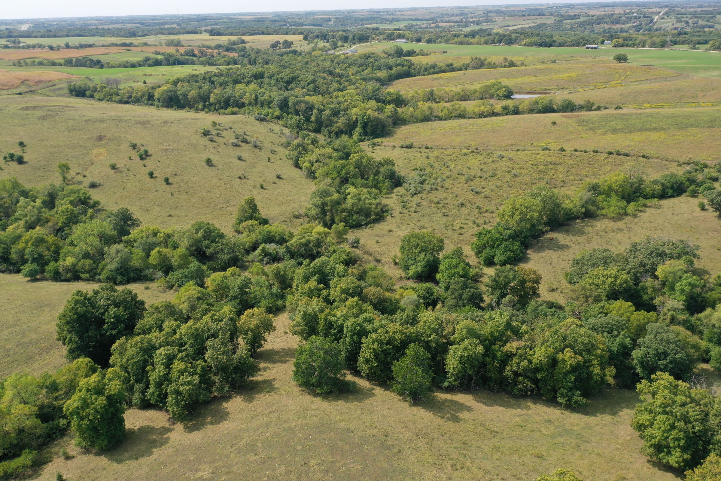 land-clarke-county-iowa-160-acres-listing-number-15173-7-2020-09-15-193135.jpg