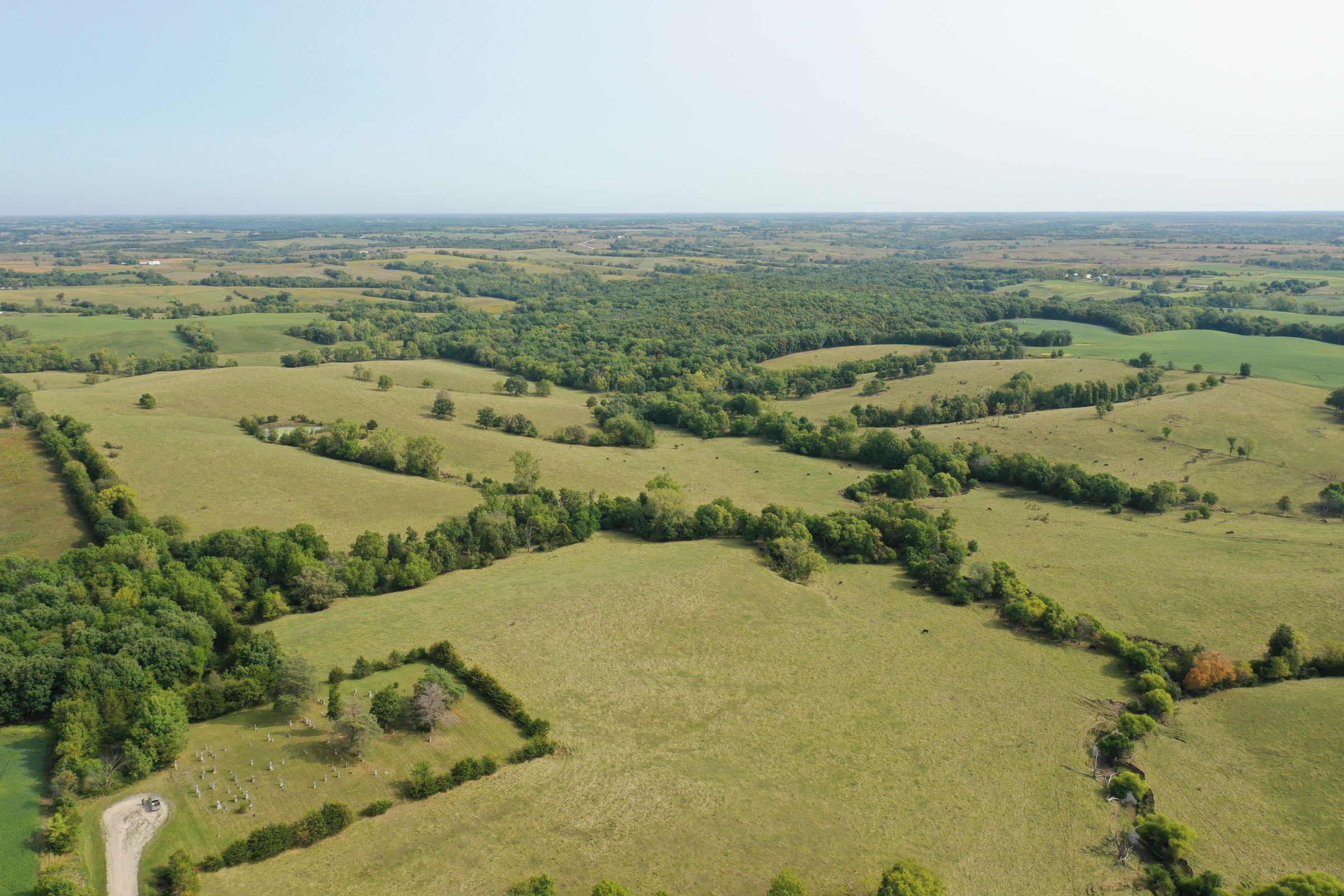 land-clarke-county-iowa-196-acres-listing-number-15176-1-2020-09-16-222320.jpg