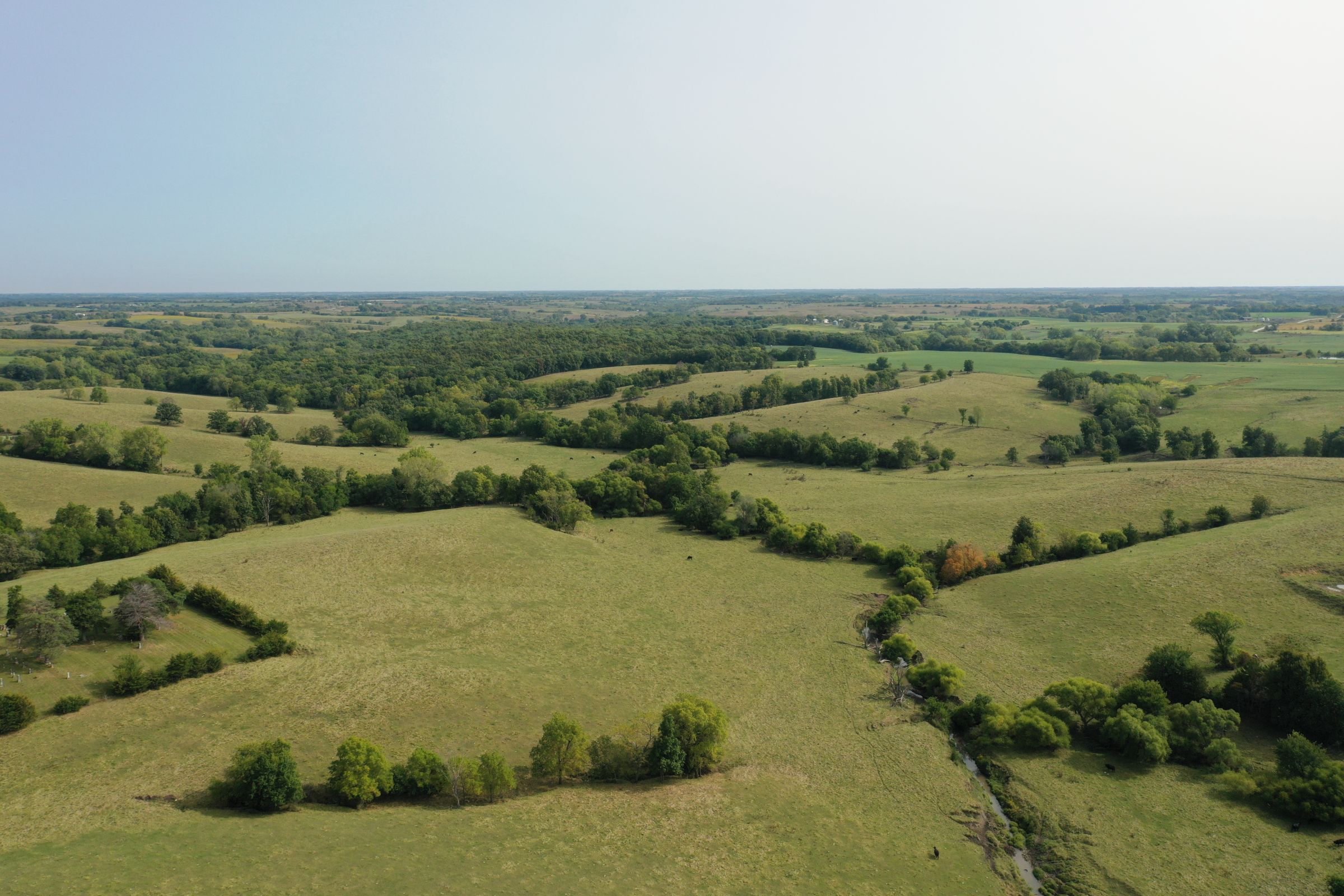 land-clarke-county-iowa-196-acres-listing-number-15176-2-2020-09-16-222321.jpg