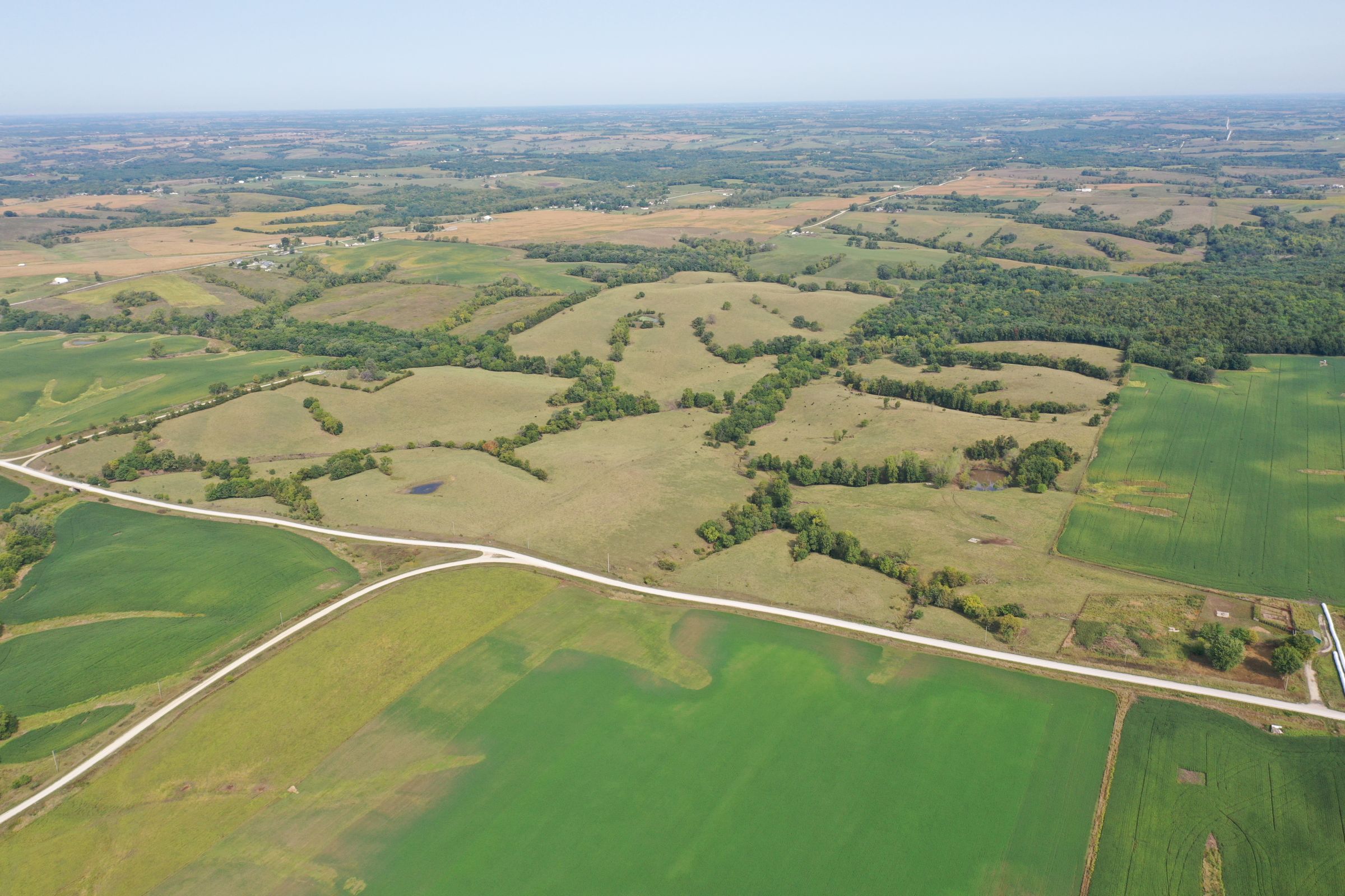 land-clarke-county-iowa-196-acres-listing-number-15176-3-2020-09-16-222323.jpg