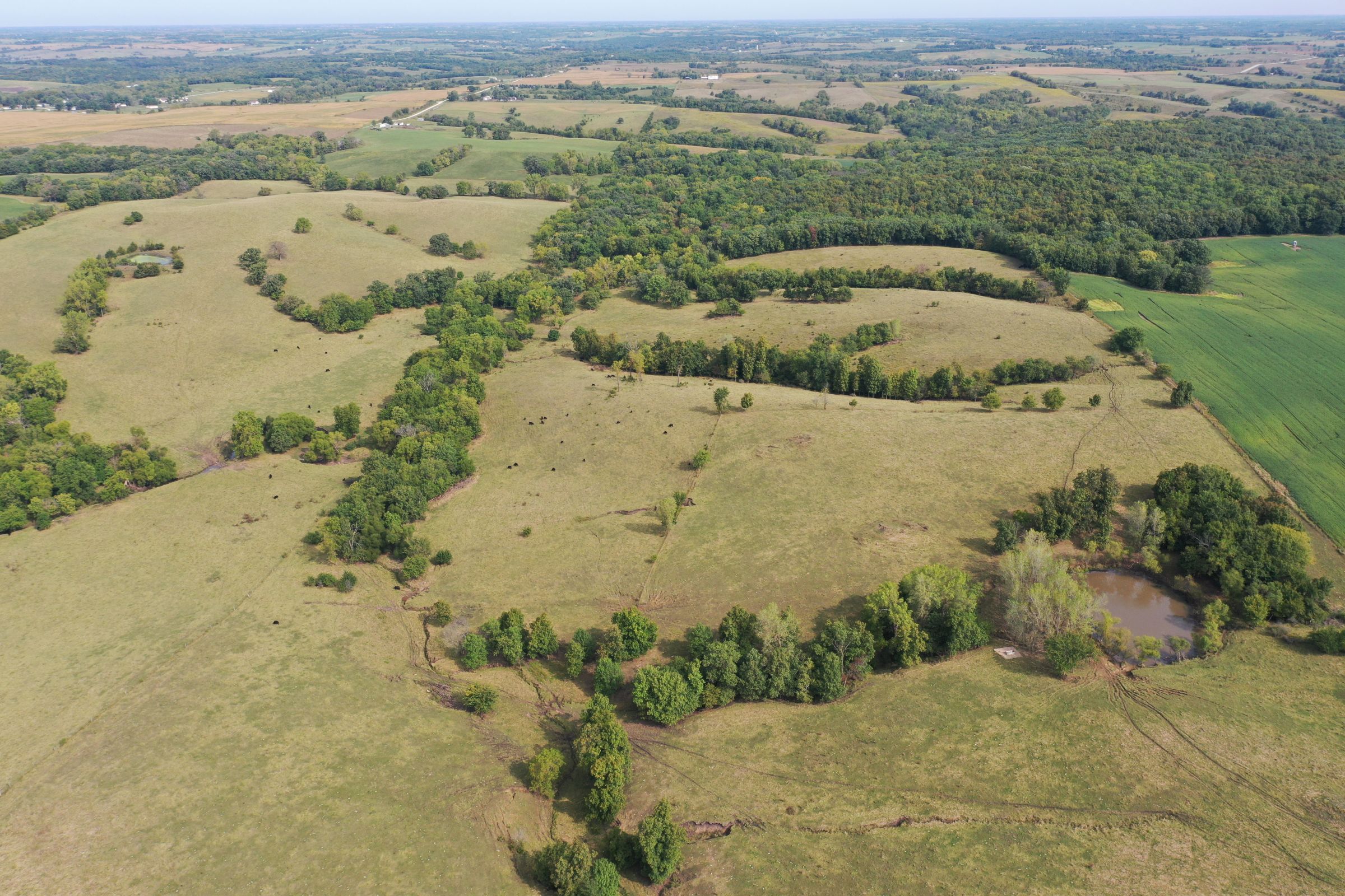 land-clarke-county-iowa-196-acres-listing-number-15176-4-2020-09-16-222324.jpg