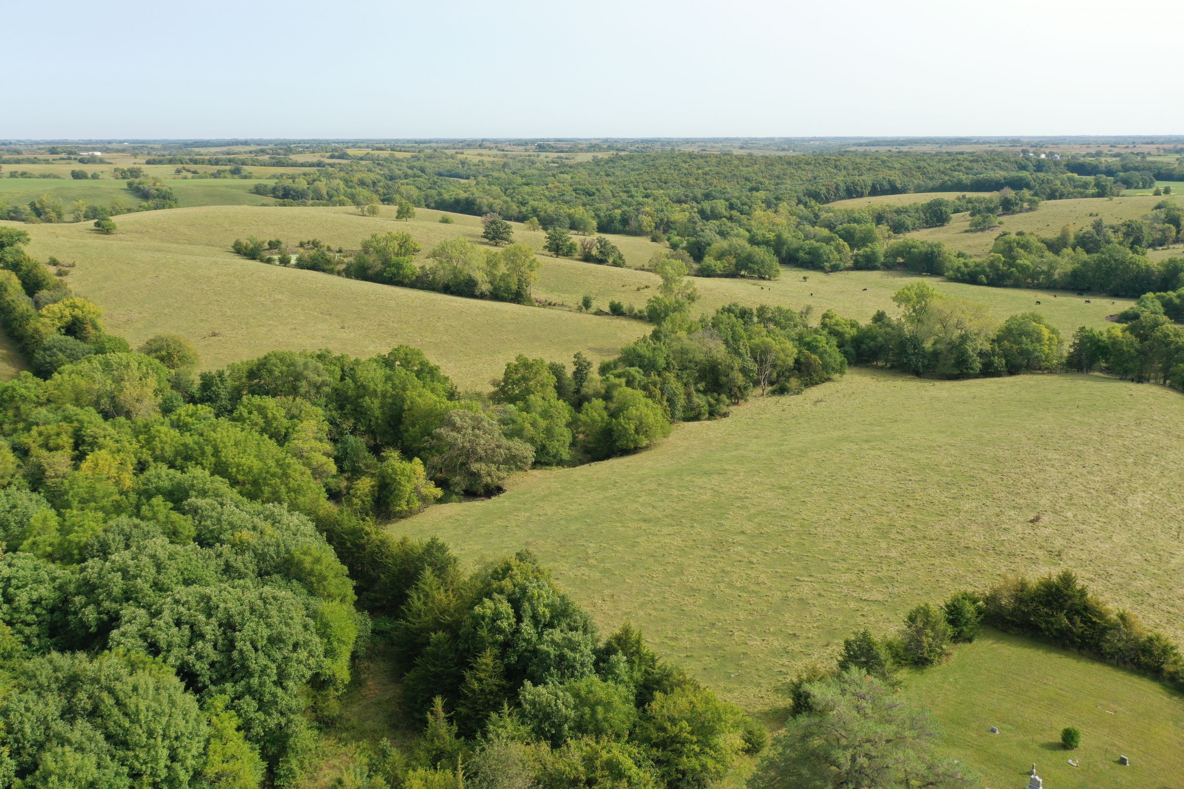 land-clarke-county-iowa-196-acres-listing-number-15176-4-2020-09-16-222434.jpg