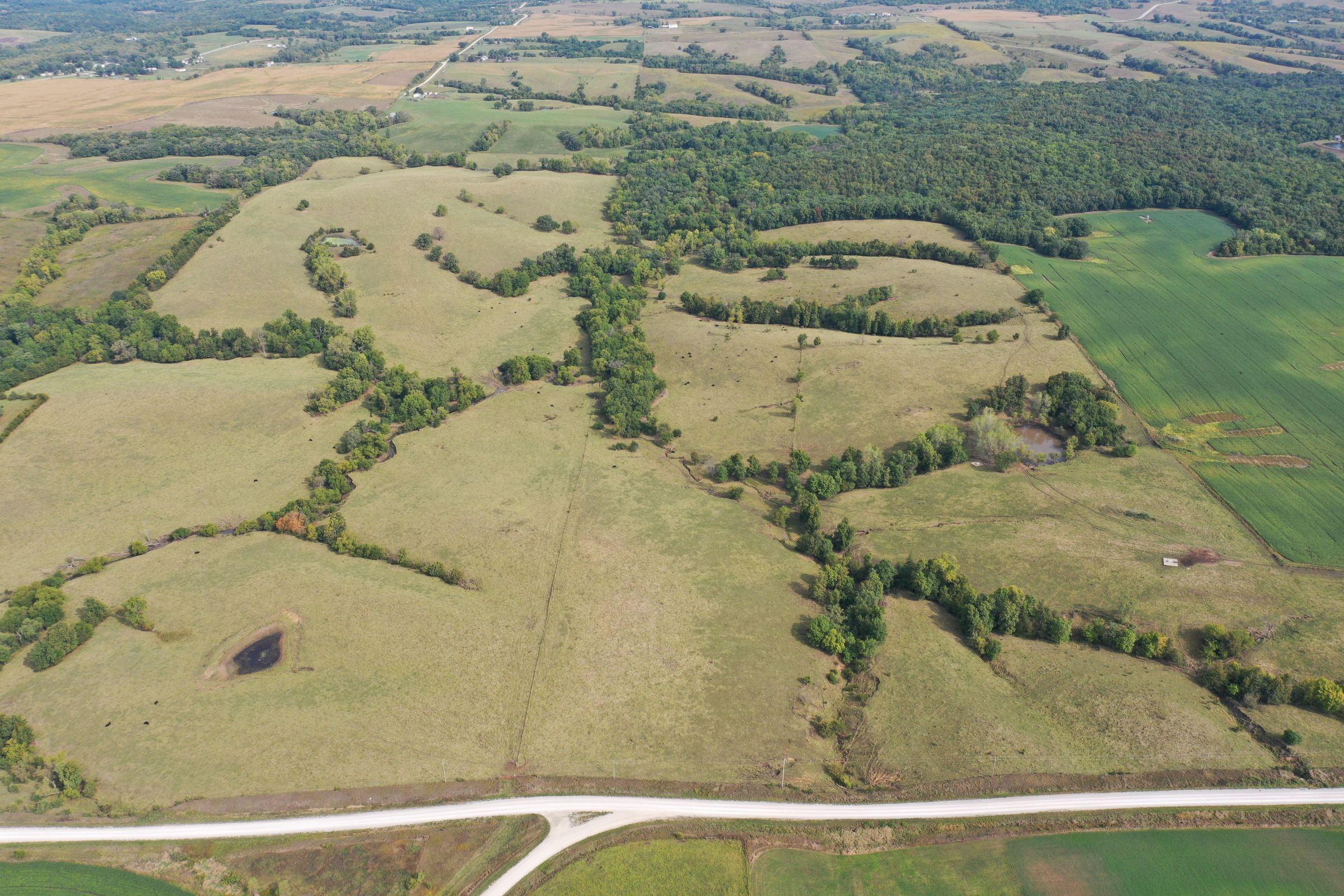 land-clarke-county-iowa-196-acres-listing-number-15176-5-2020-09-16-222326.jpg