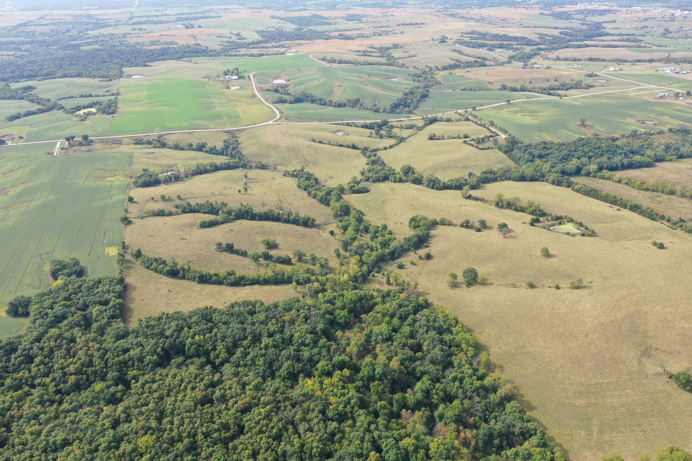 land-clarke-county-iowa-196-acres-listing-number-15176-6-2020-09-16-222327.jpg