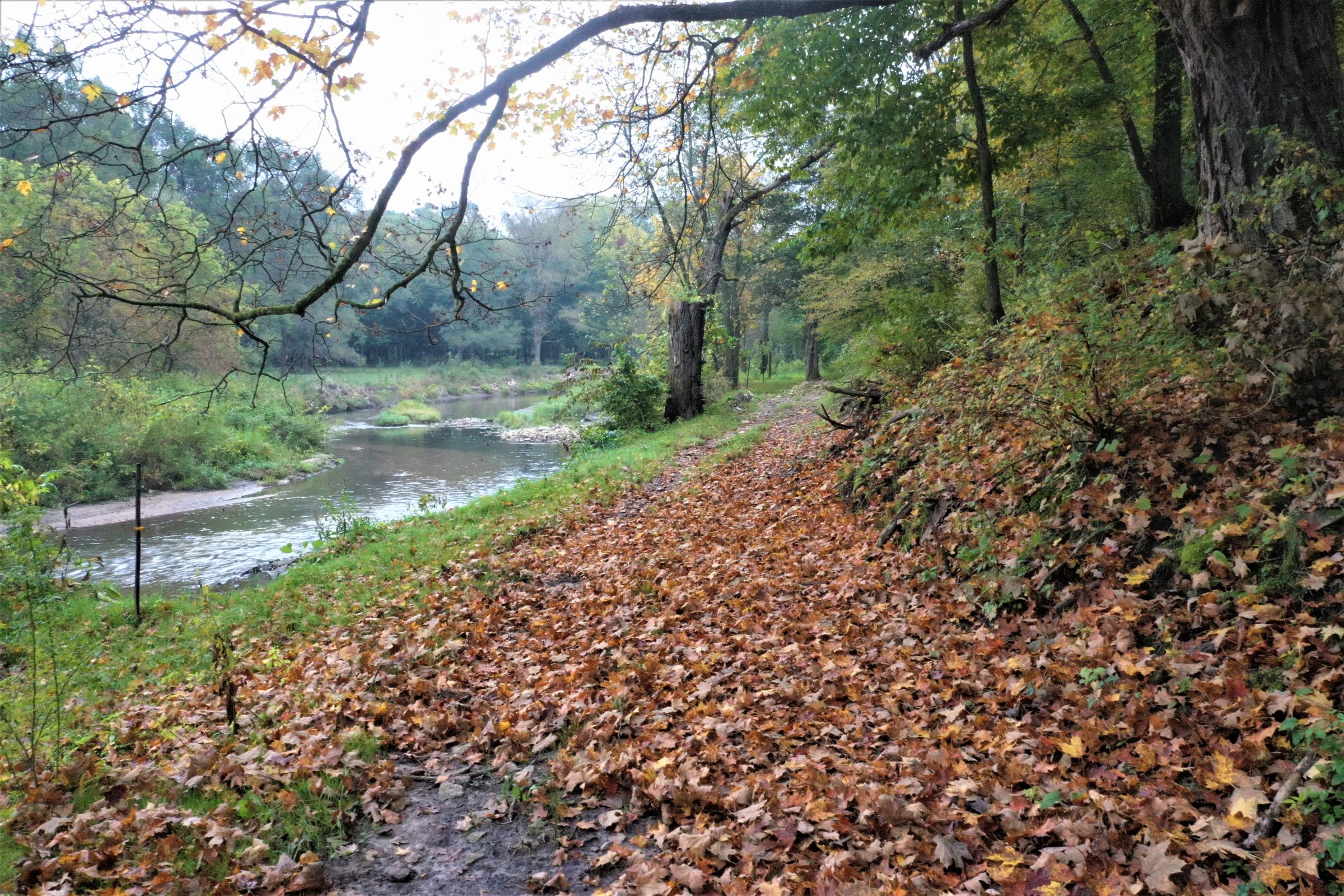 Trail/Pine Creek