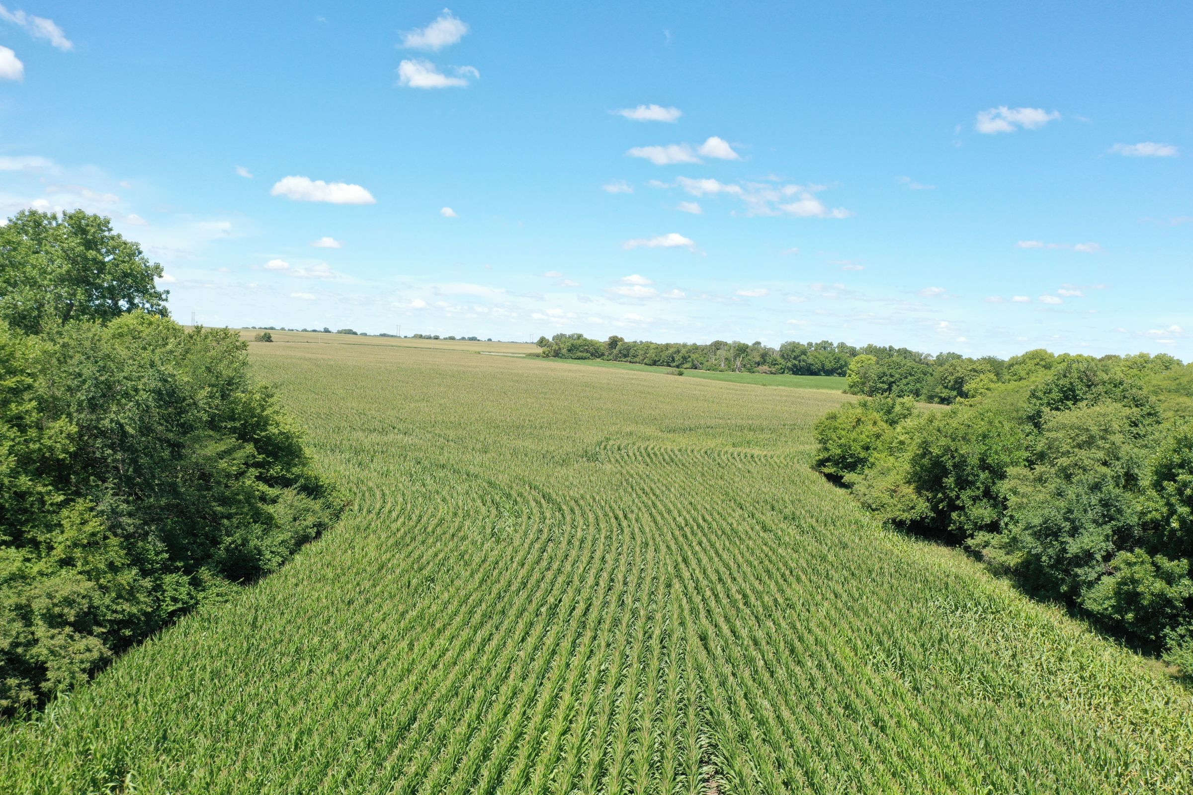 Dallas County Iowa Farm Land For Sale