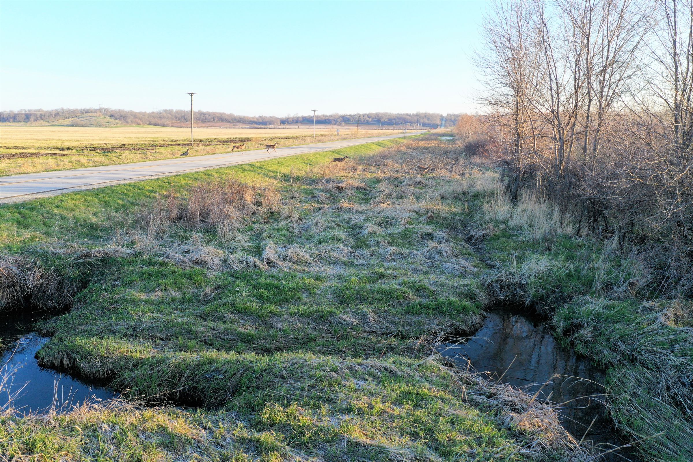 development-land-madison-county-iowa-267-acres-listing-number-15200-0-2020-10-06-184607.jpg