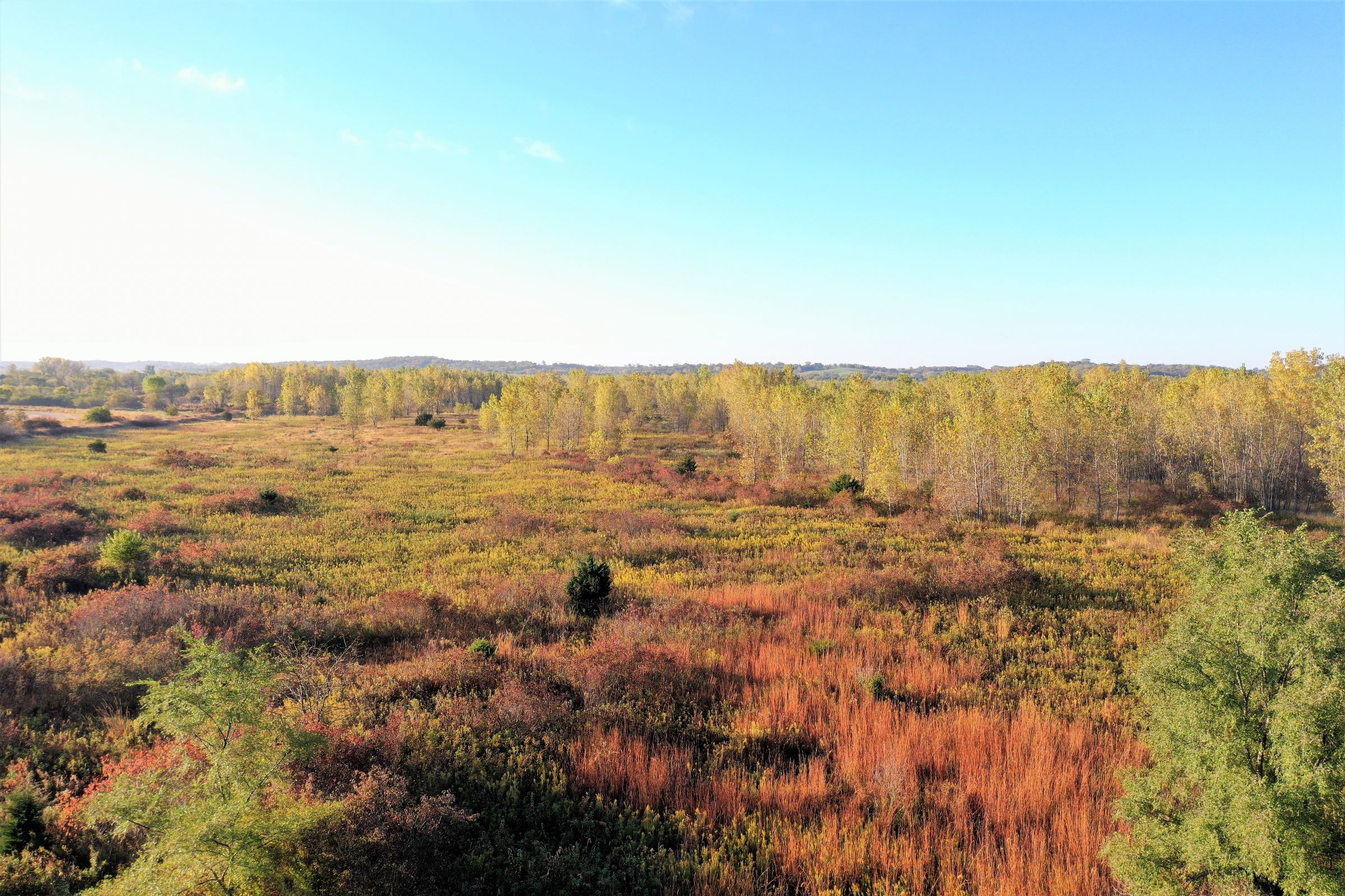 development-land-madison-county-iowa-267-acres-listing-number-15200-2-2020-10-06-184710.jpg