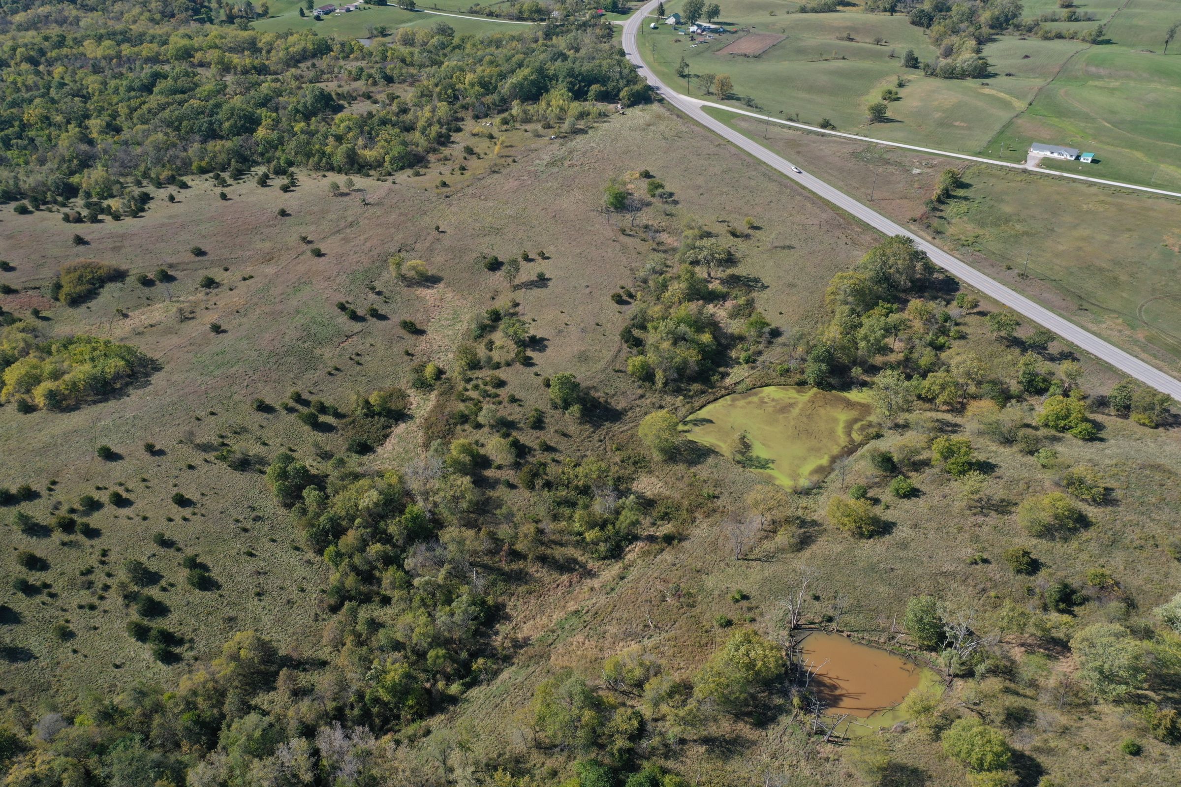 land-lucas-county-iowa-215-acres-listing-number-15206-0-2020-10-09-161604.jpg