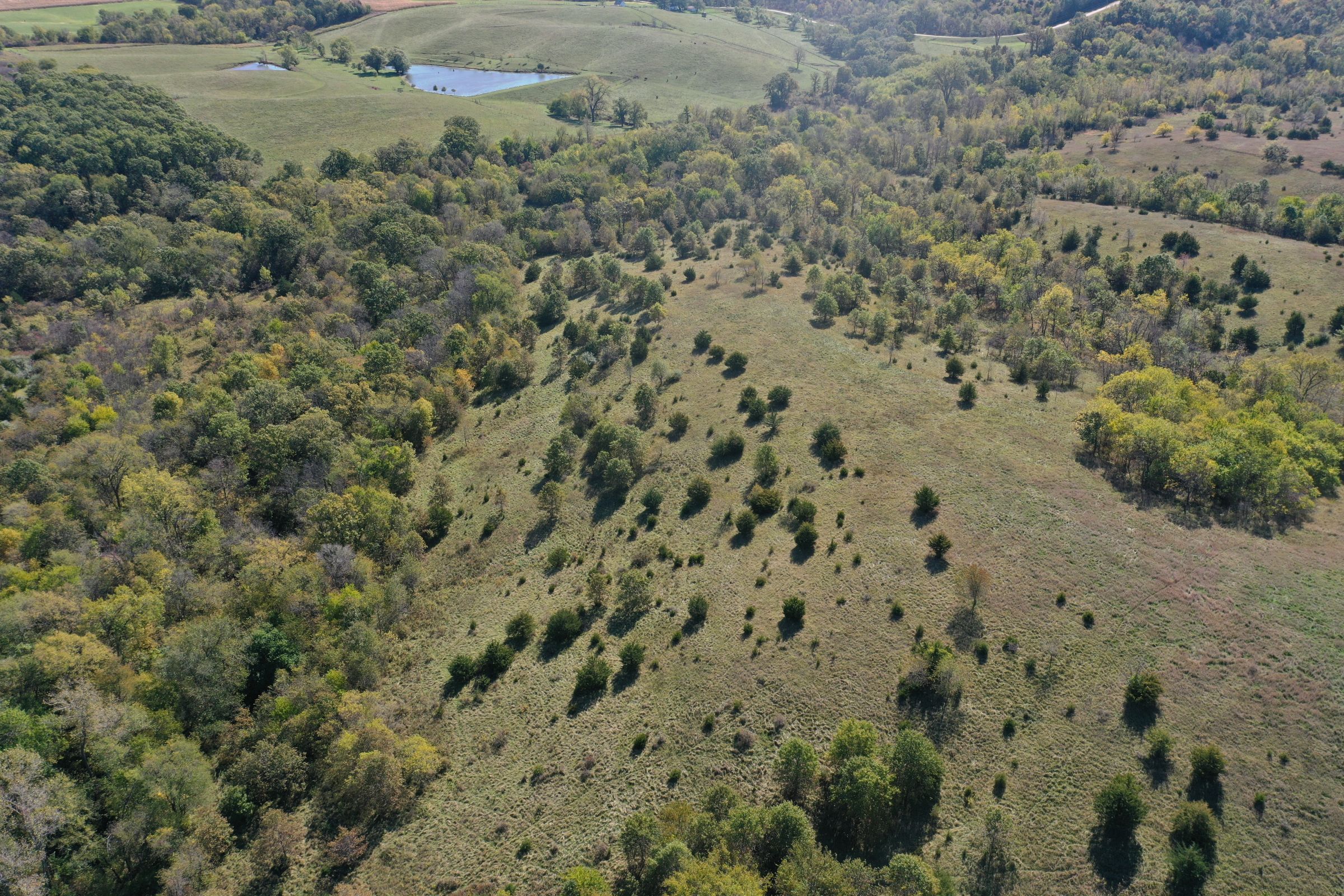 land-lucas-county-iowa-215-acres-listing-number-15206-1-2020-10-09-161120.jpg