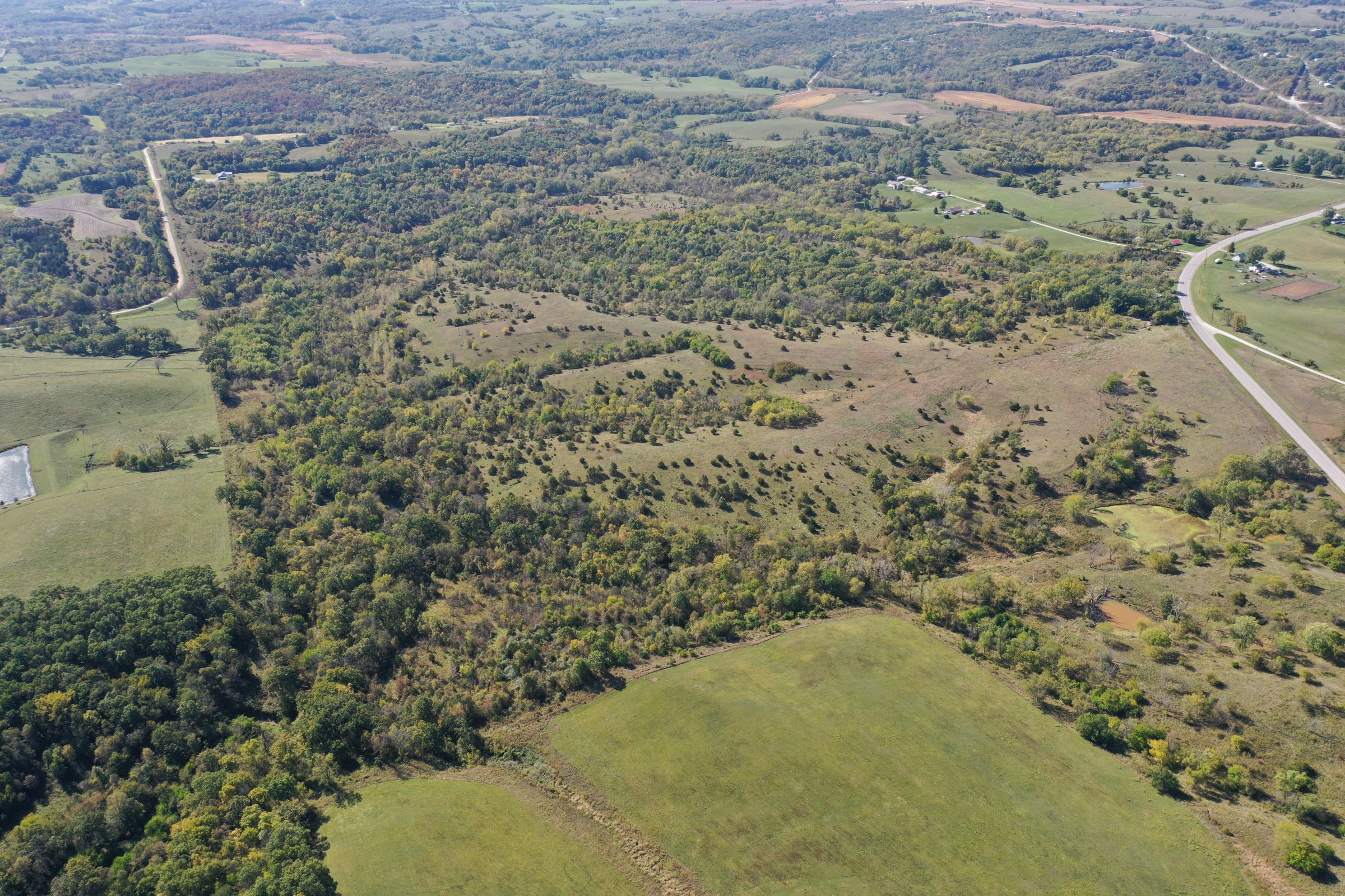 land-lucas-county-iowa-215-acres-listing-number-15206-1-2020-10-09-161606.jpg