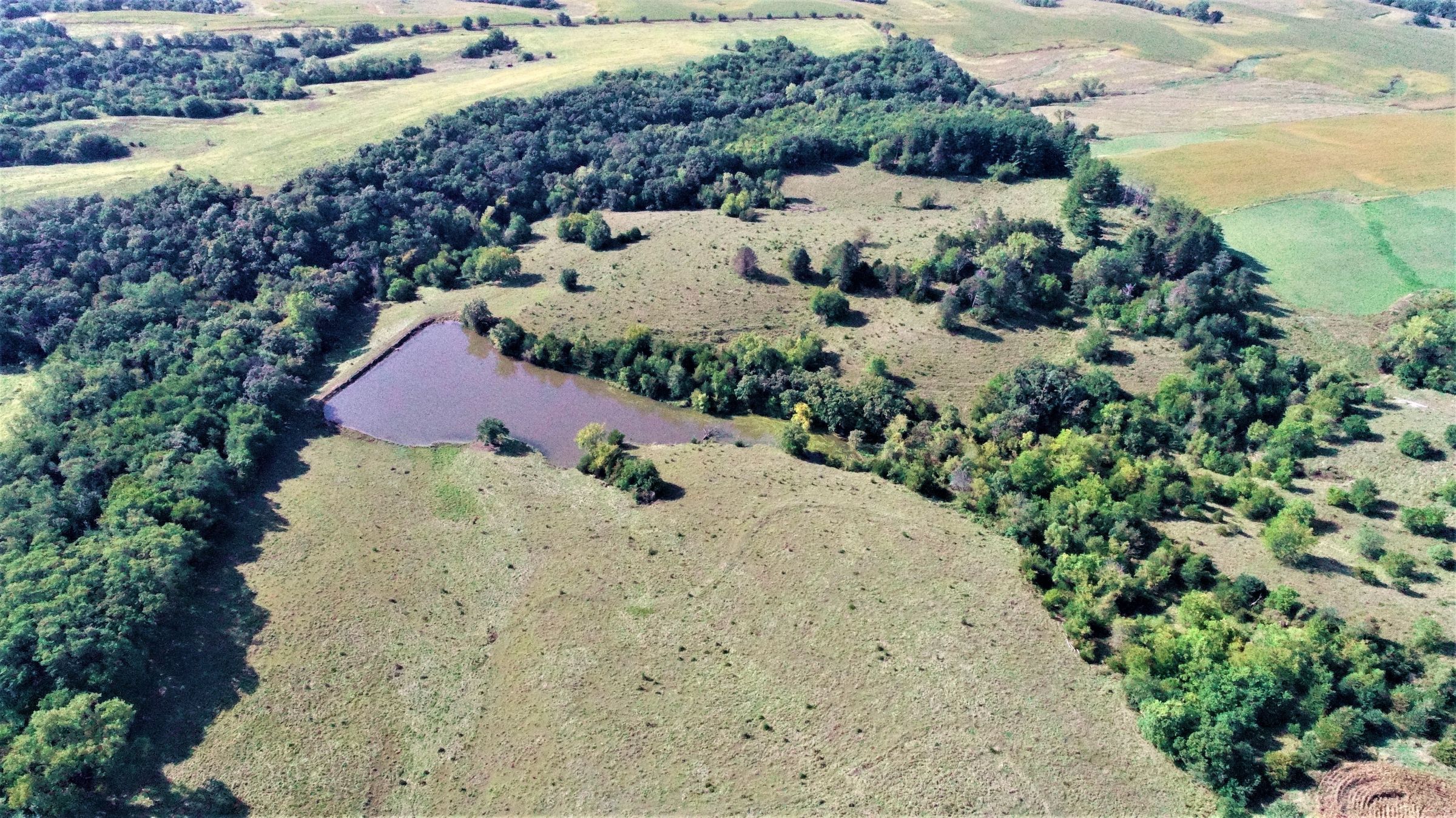 madison-county-iowa-76-acres-listing-number-15209-3-2020-10-12-175955.jpg