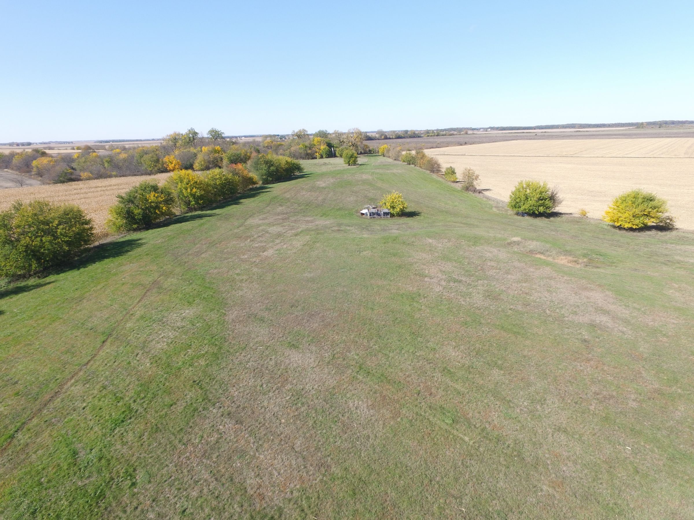 land-henry-county-illinois-240-acres-listing-number-15213-2-2020-10-22-163831.JPG