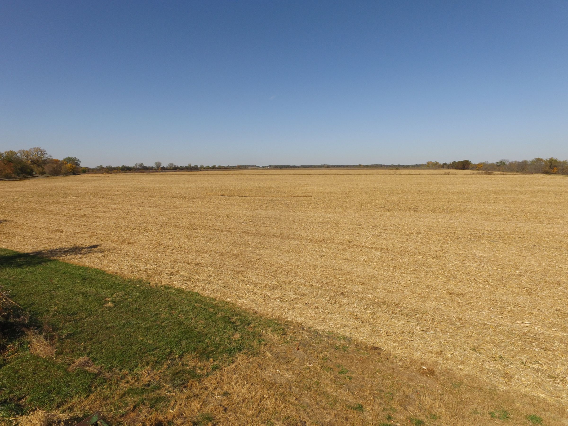 land-henry-county-illinois-240-acres-listing-number-15213-3-2020-10-22-163832.JPG