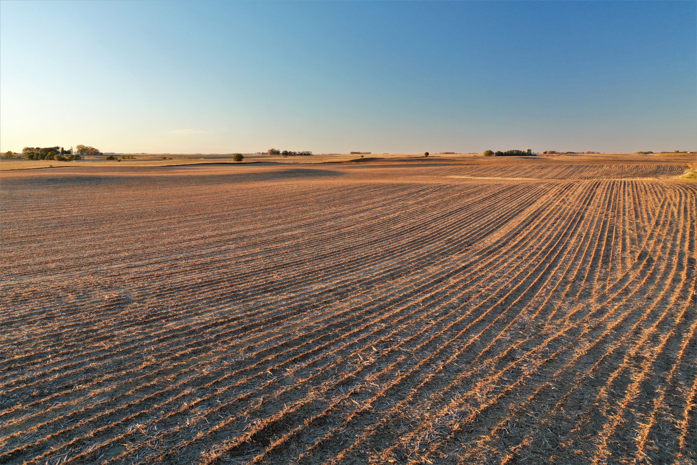 land-wright-county-iowa-160-acres-listing-number-15216-0-2020-10-14-184051.jpg