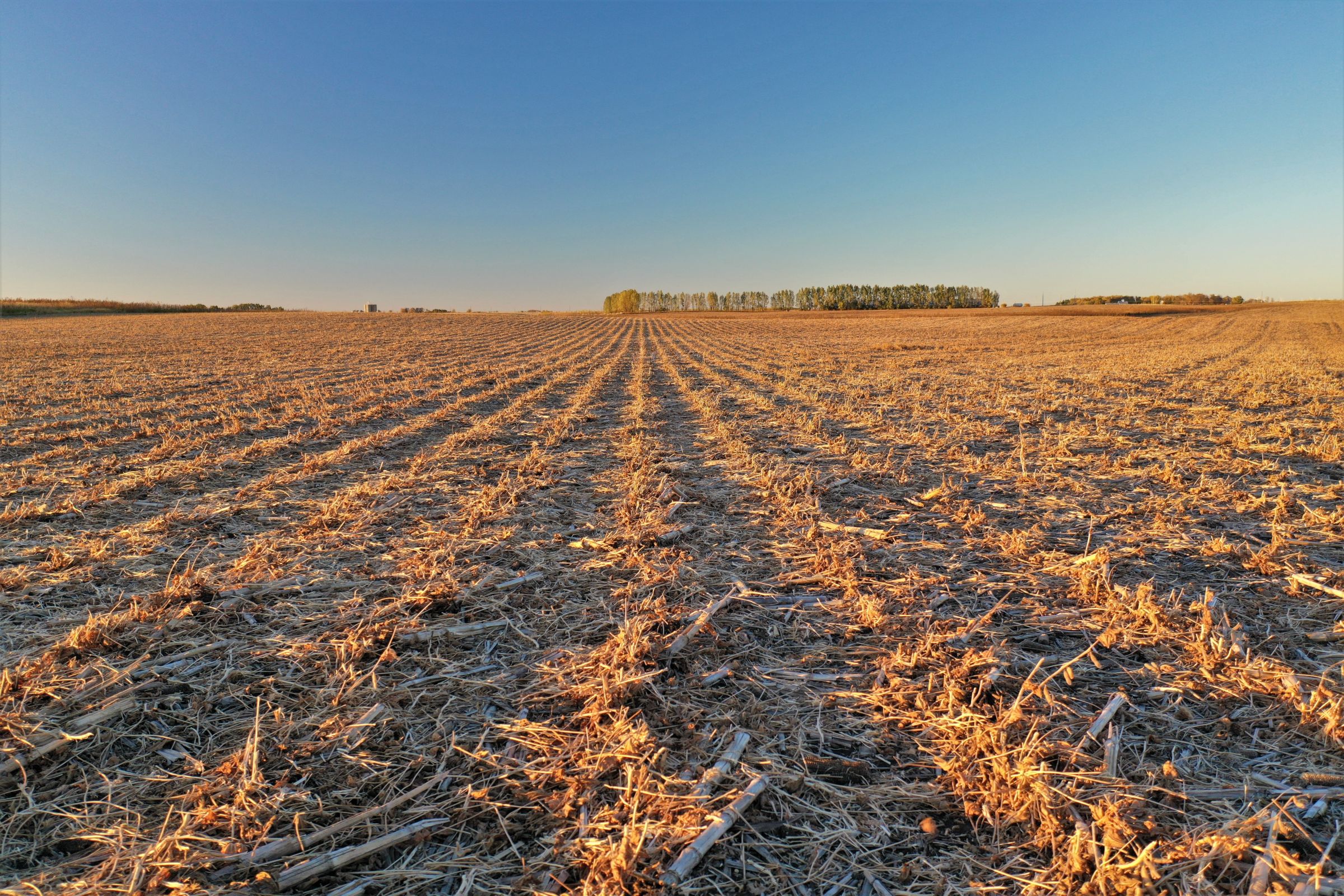 land-wright-county-iowa-160-acres-listing-number-15216-2-2020-10-14-184054.jpg