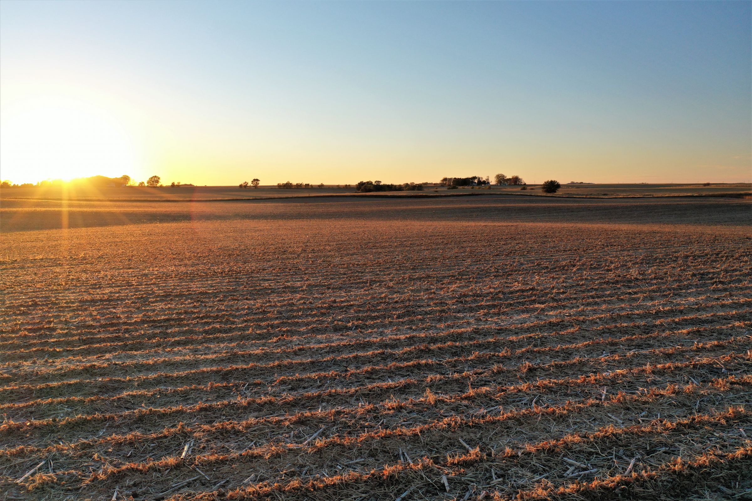 land-wright-county-iowa-160-acres-listing-number-15216-3-2020-10-14-184056.jpg