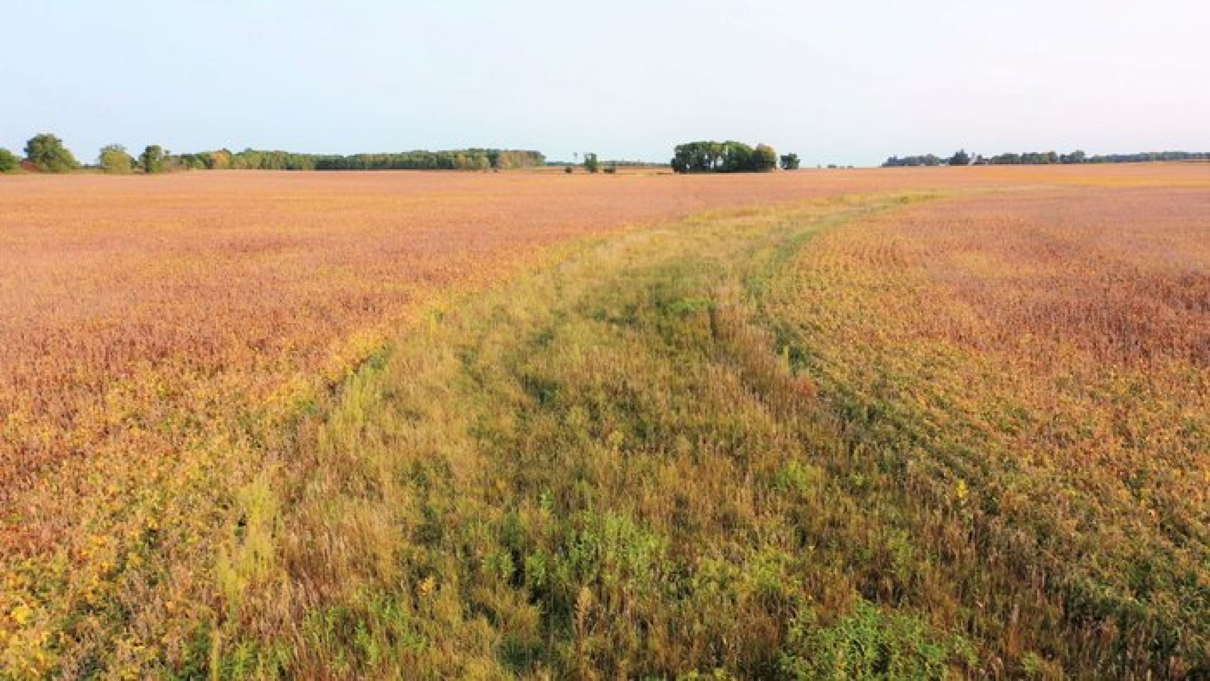 mitchell-county-iowa-113-acres-listing-number-15222-0-2020-10-19-190025.