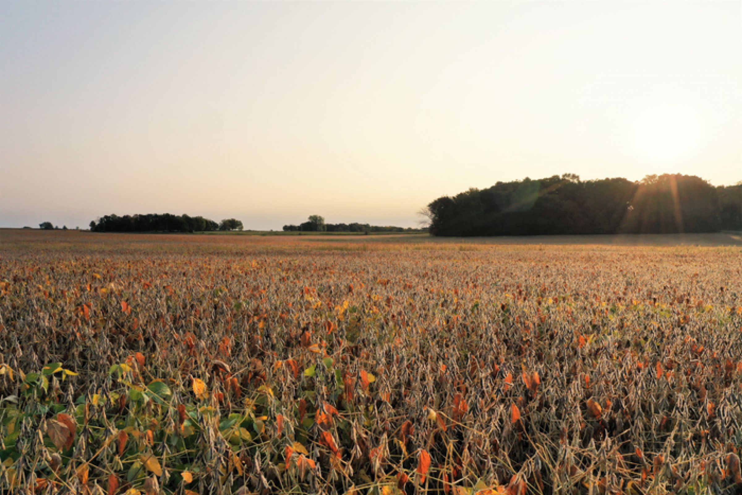 mitchell-county-iowa-113-acres-listing-number-15222-2-2020-10-19-190027.