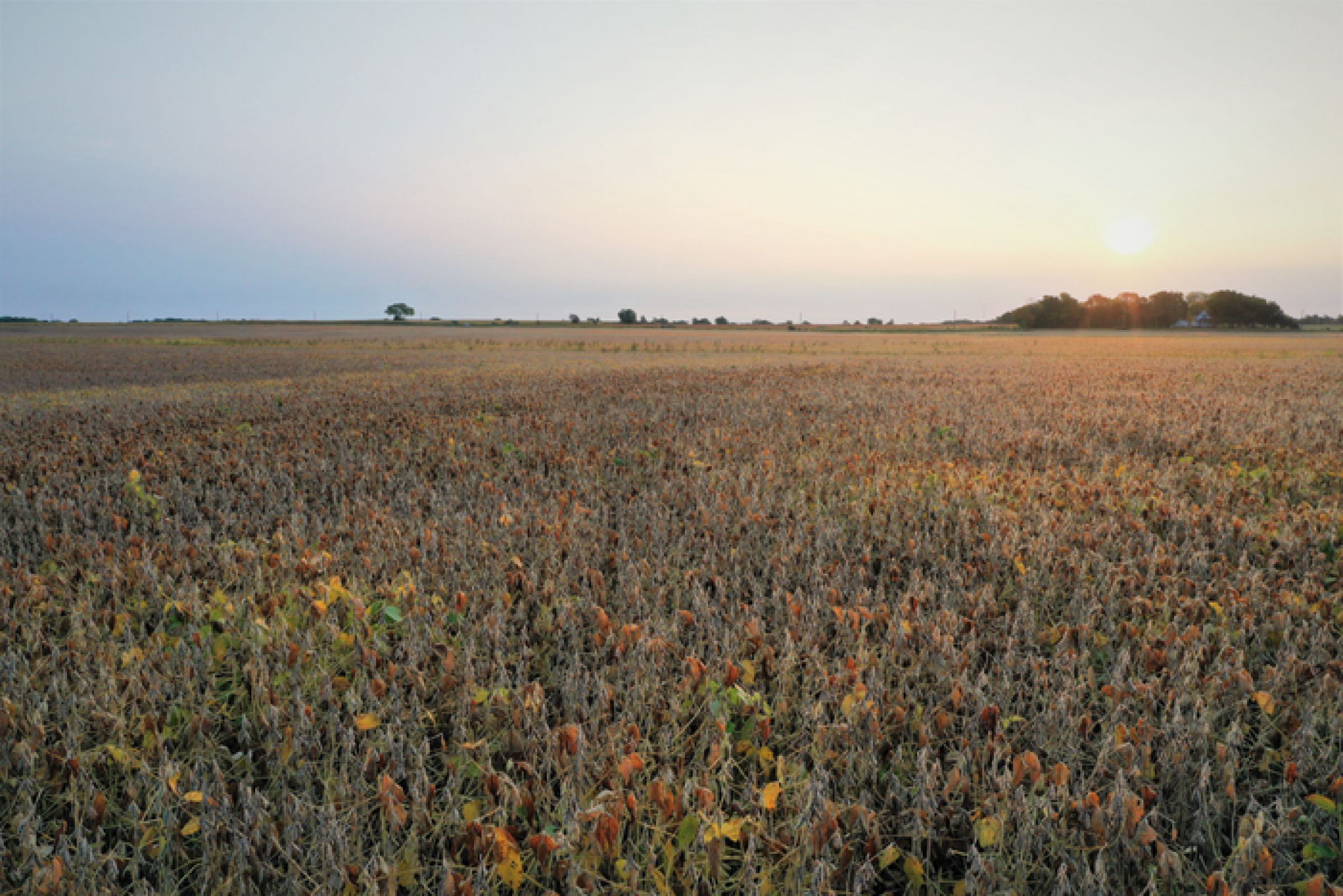 mitchell-county-iowa-113-acres-listing-number-15222-8-2020-10-19-190029.