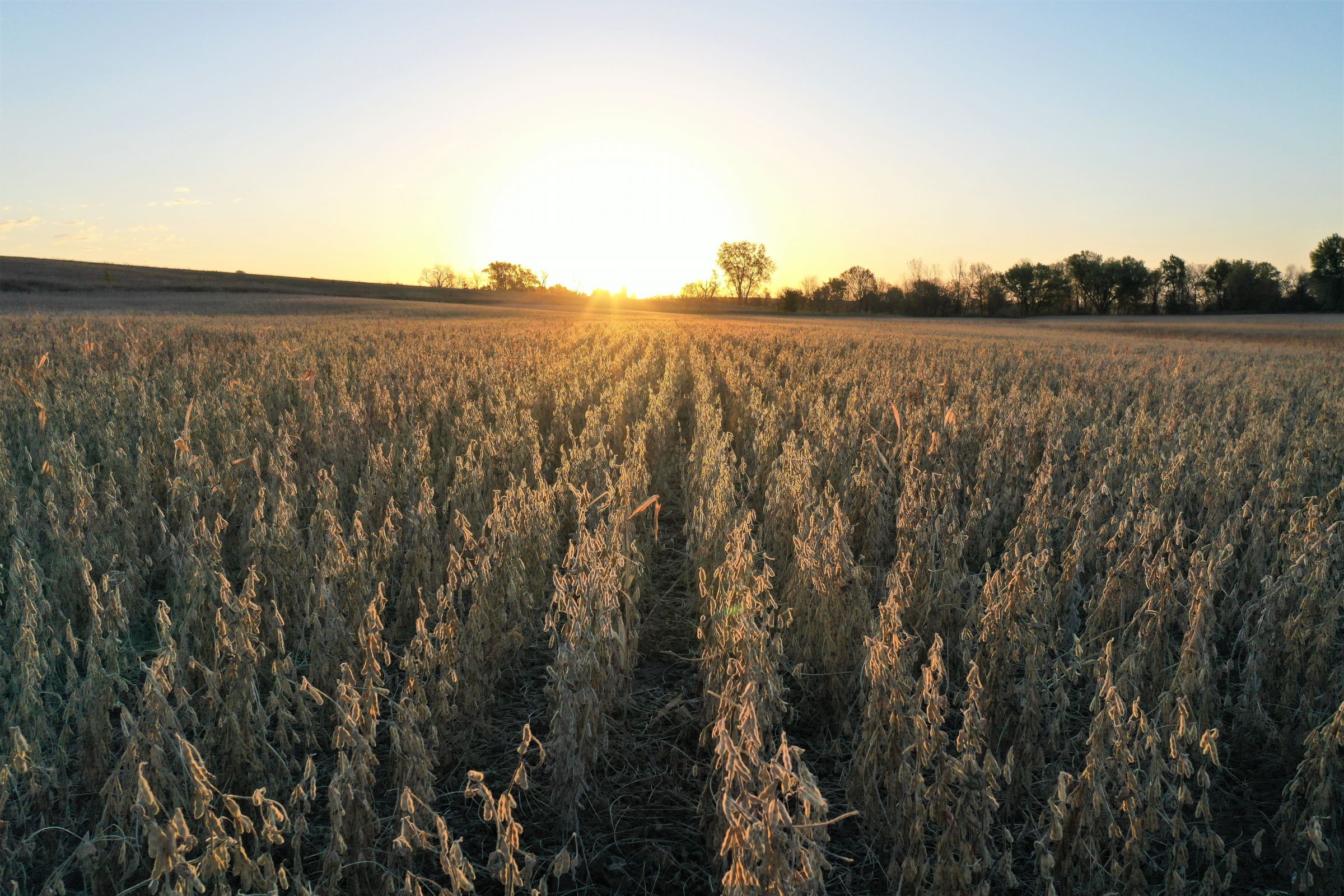 land-warren-county-iowa-81-acres-listing-number-15226-1-2020-10-27-161640.jpg