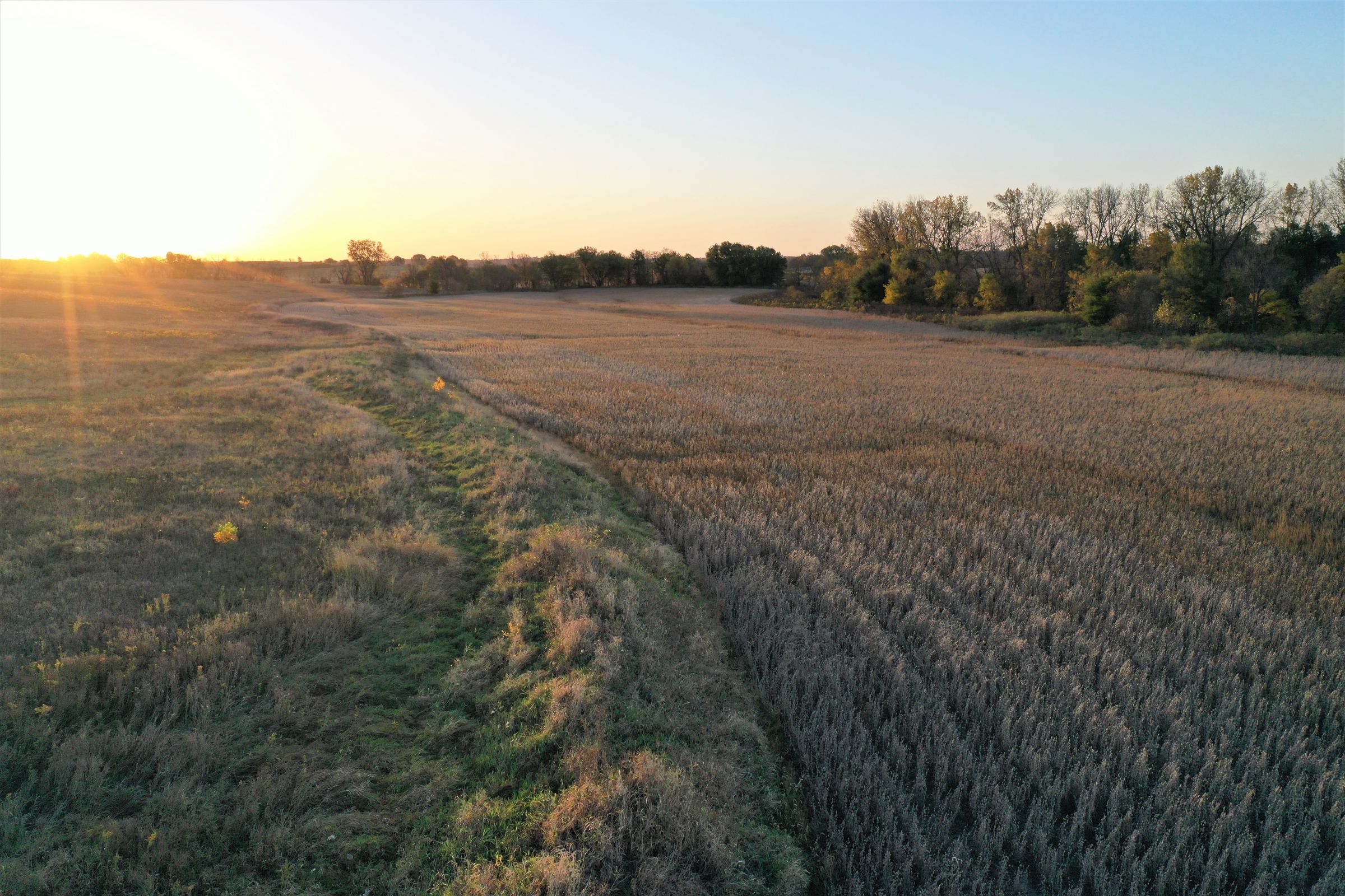 land-warren-county-iowa-81-acres-listing-number-15226-2-2020-10-27-161641.jpg