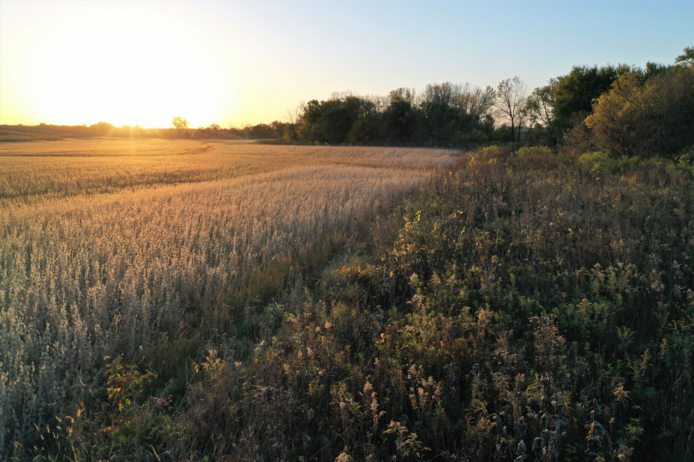 land-warren-county-iowa-81-acres-listing-number-15226-4-2020-10-27-161644.jpg