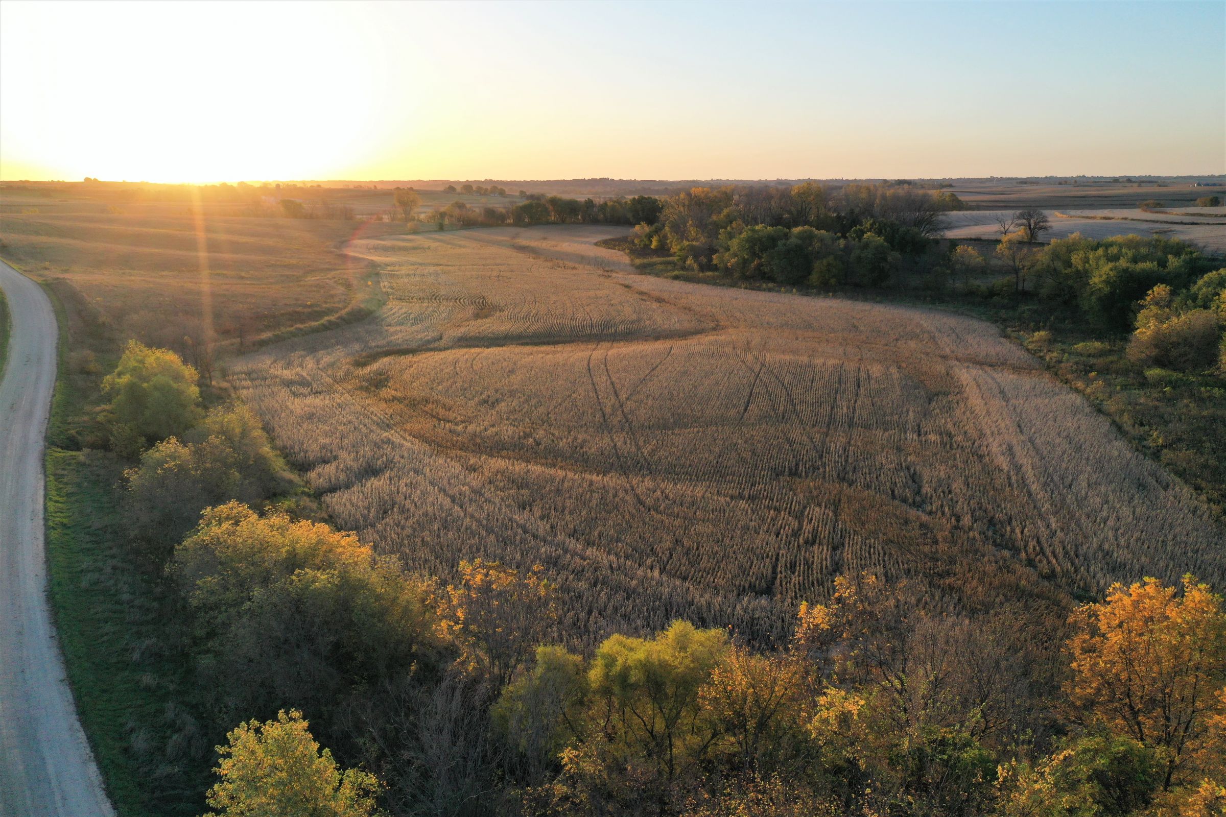 land-warren-county-iowa-81-acres-listing-number-15226-5-2020-10-27-161646.jpg