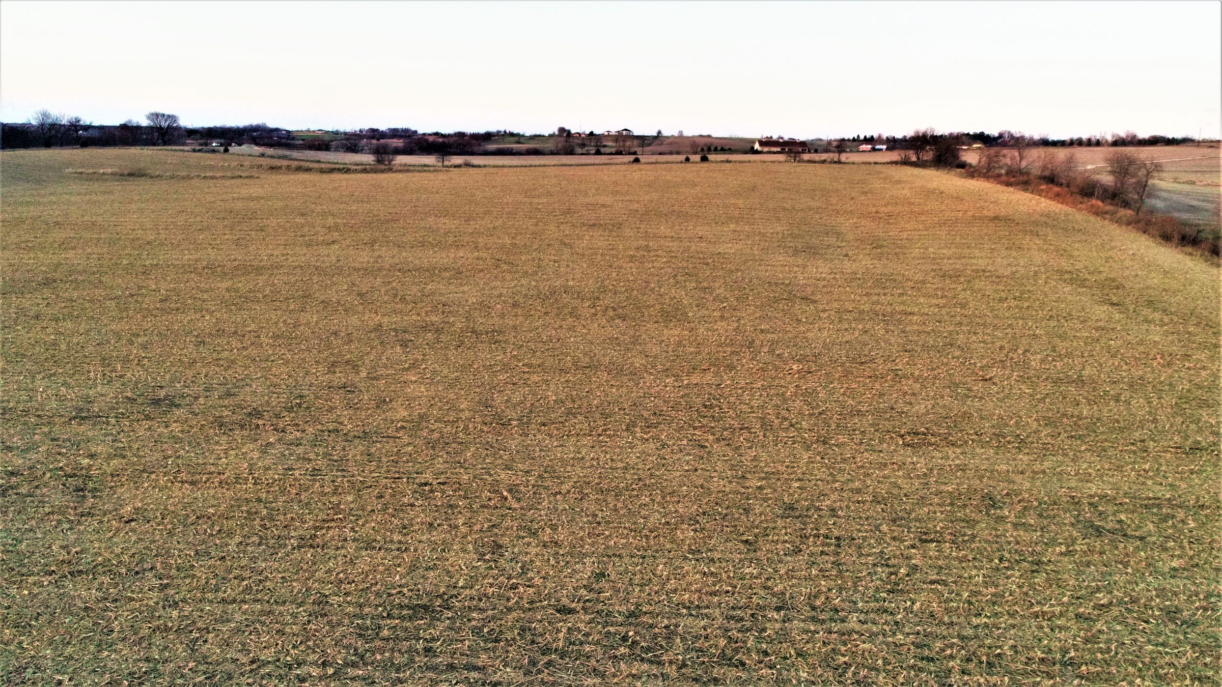 land-madison-county-iowa-20-acres-listing-number-15233-0-2020-11-10-001023.JPG