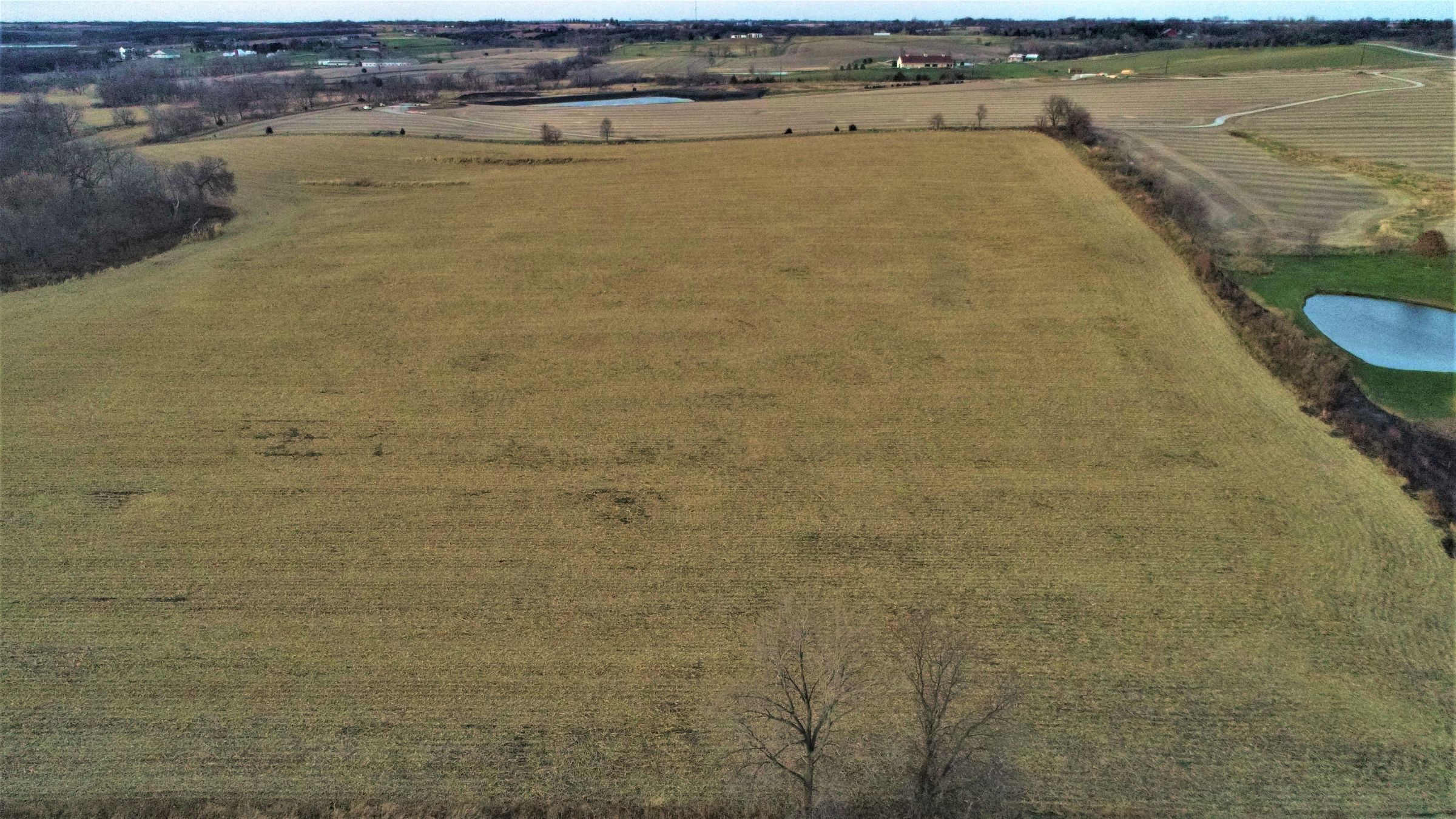 land-madison-county-iowa-20-acres-listing-number-15233-3-2020-11-10-001026.JPG