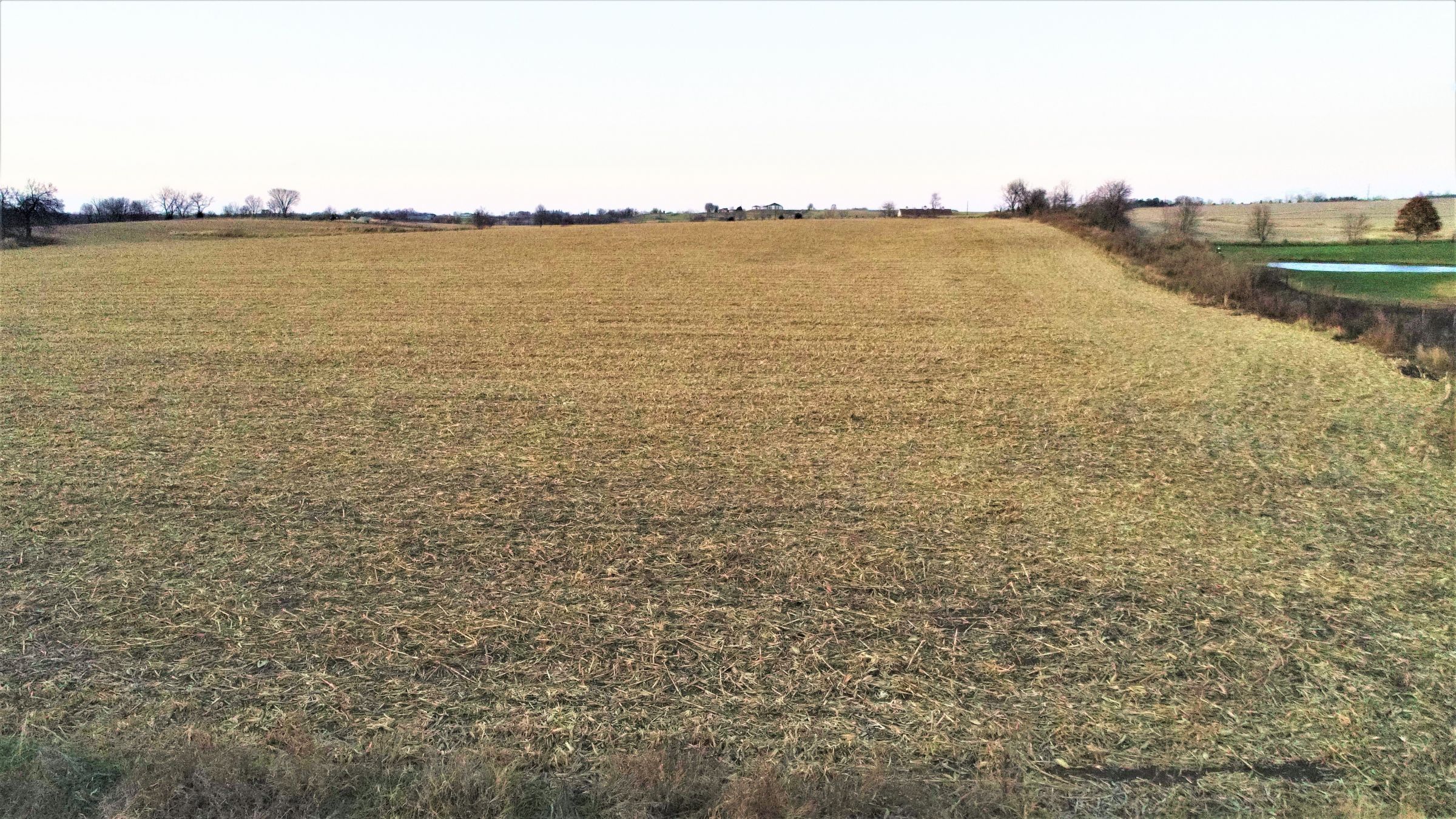 land-madison-county-iowa-20-acres-listing-number-15233-6-2020-11-10-001030.JPG