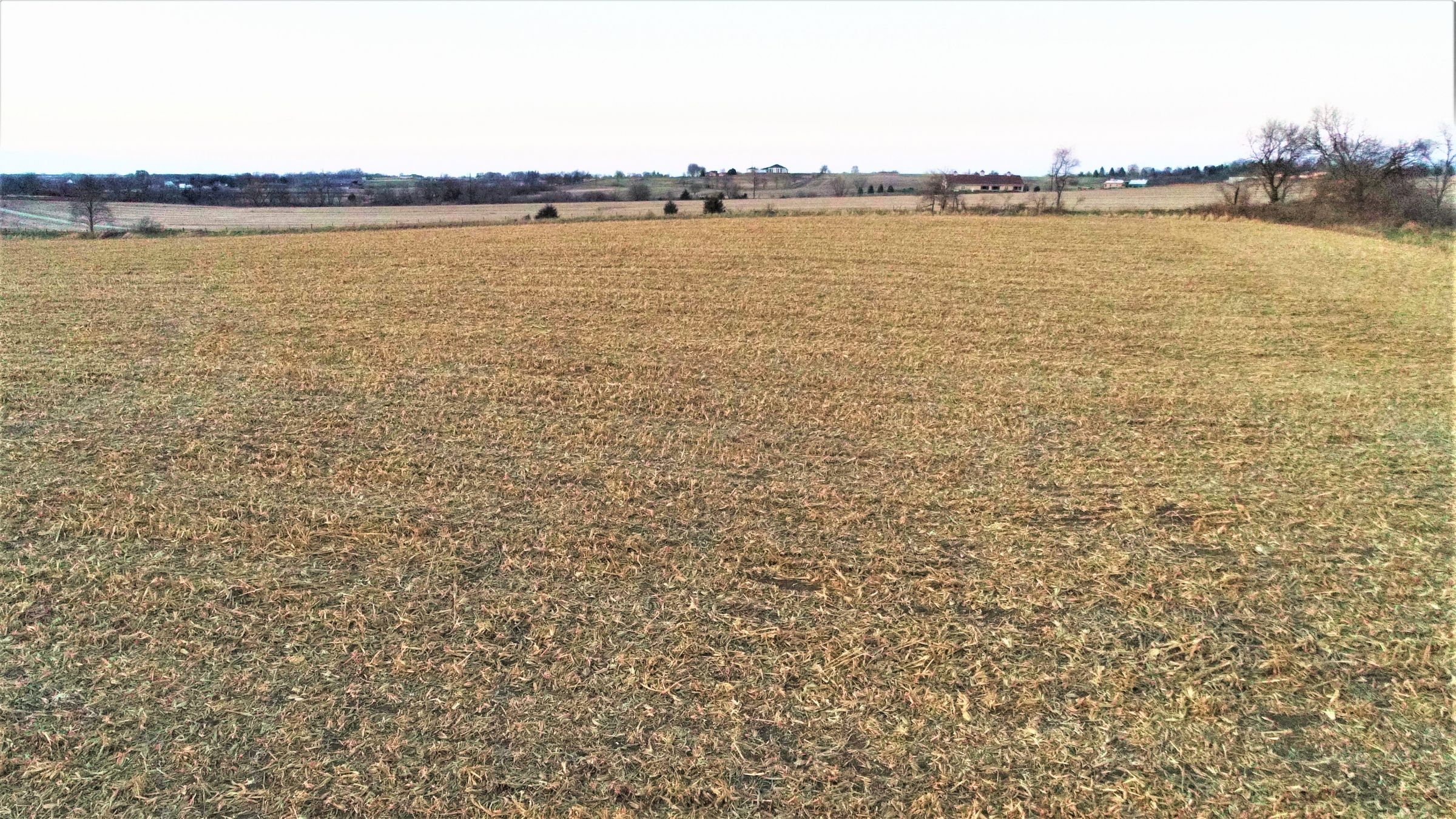 land-madison-county-iowa-20-acres-listing-number-15233-7-2020-11-10-001031.JPG