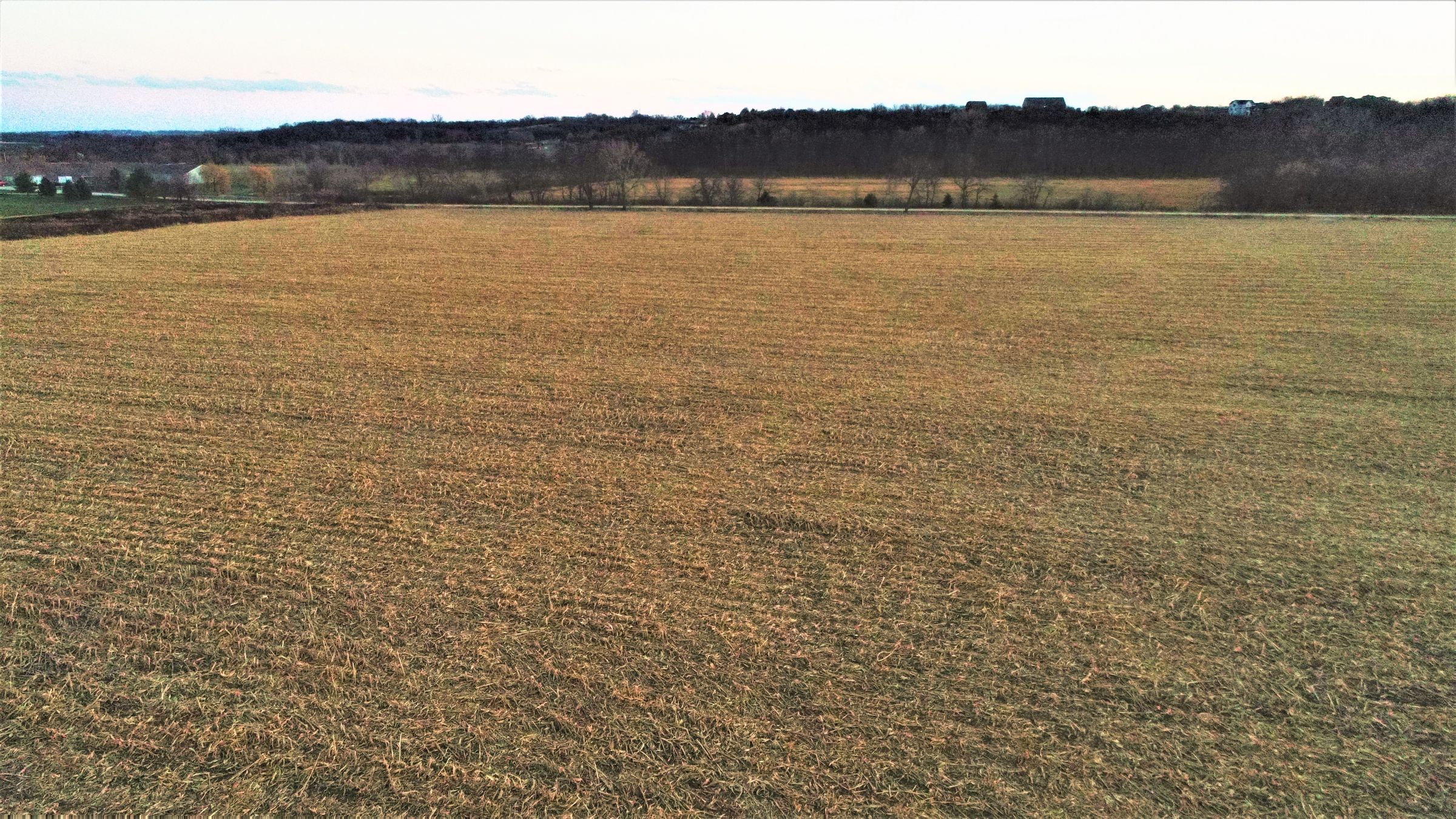 land-madison-county-iowa-20-acres-listing-number-15233-8-2020-11-10-001032.JPG