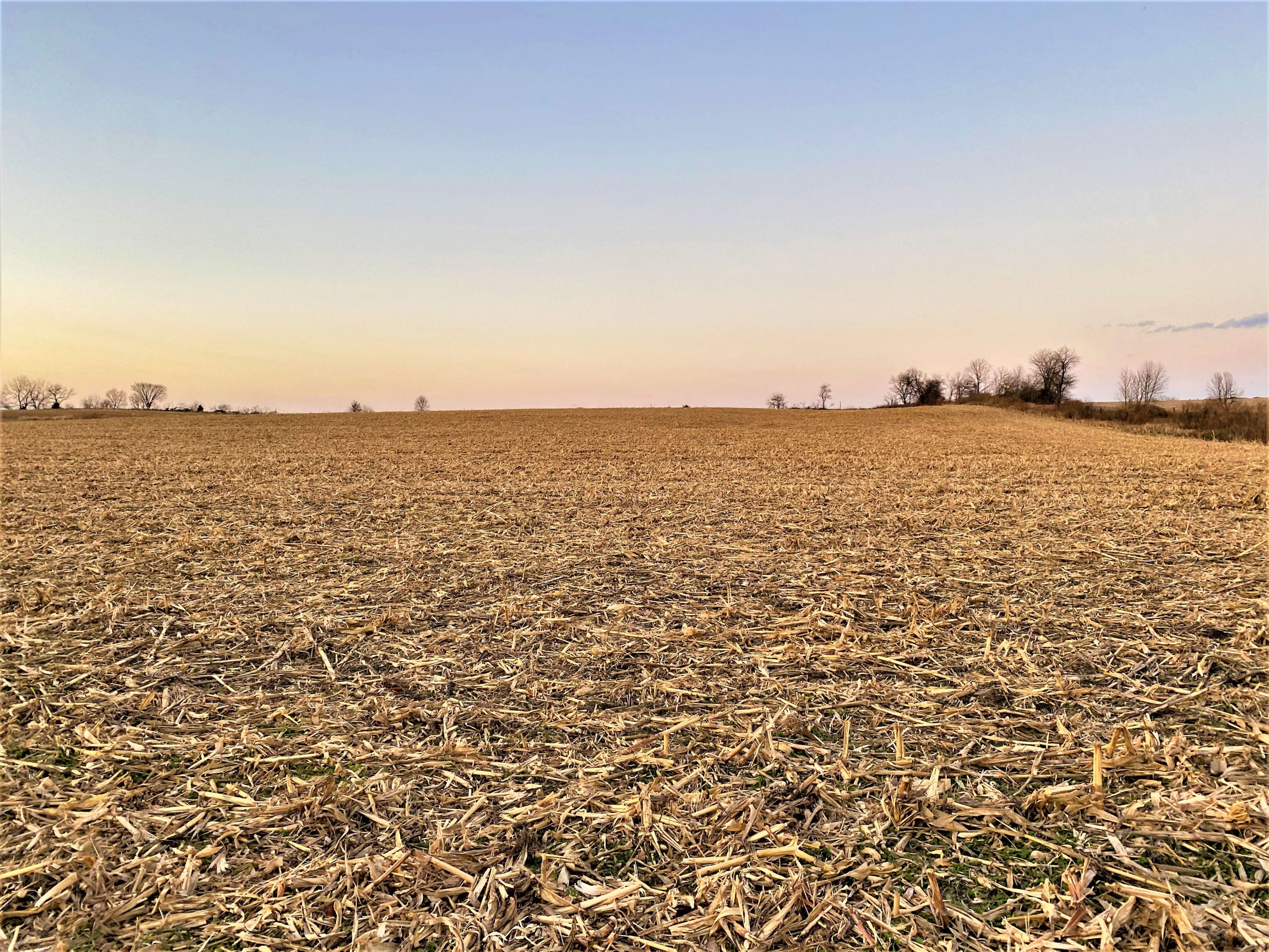 land-madison-county-iowa-20-acres-listing-number-15233-9-2020-11-10-001034.jpg