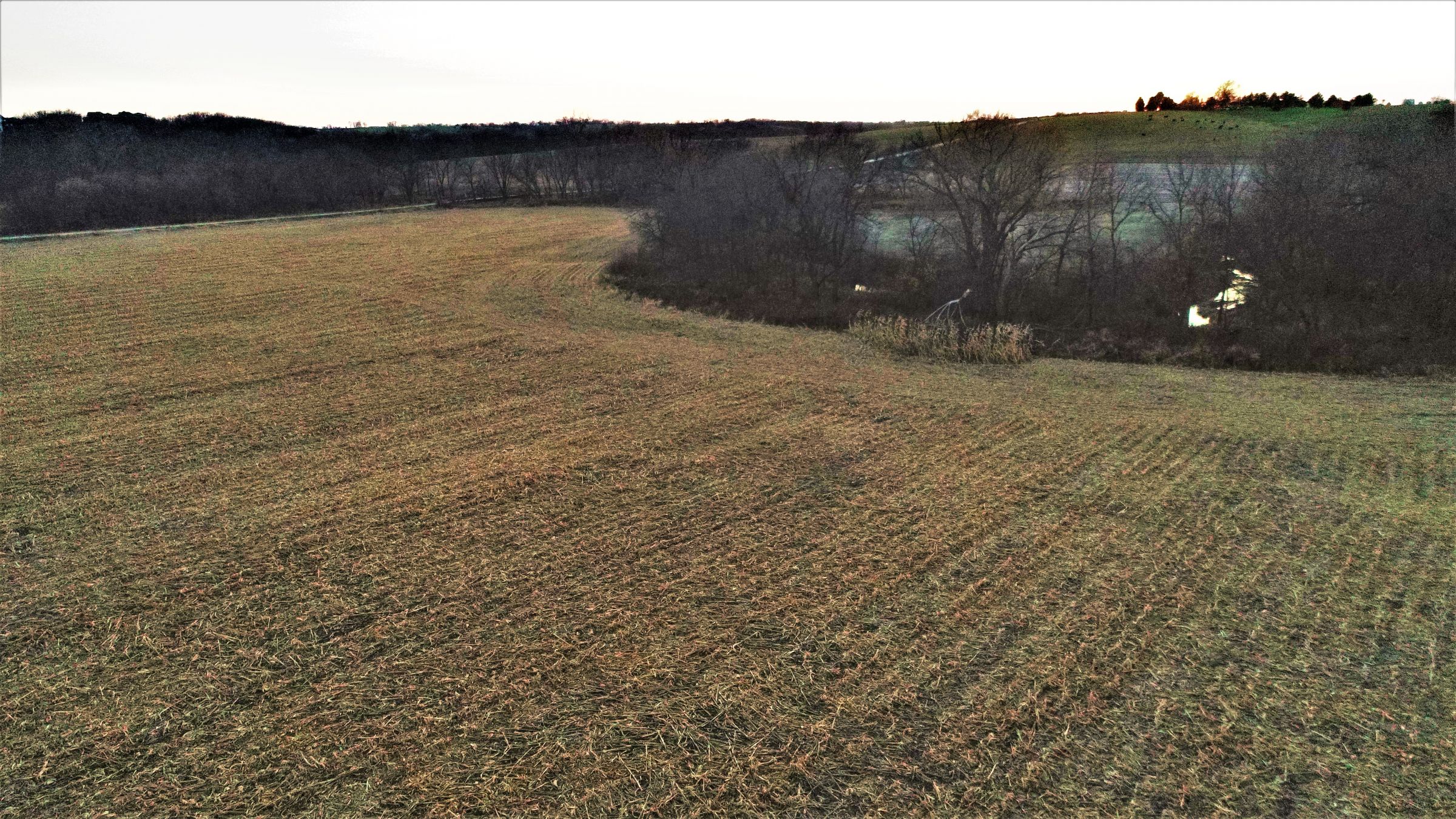 land-madison-county-iowa-20-acres-listing-number-15234-5-2020-11-10-010435.JPG