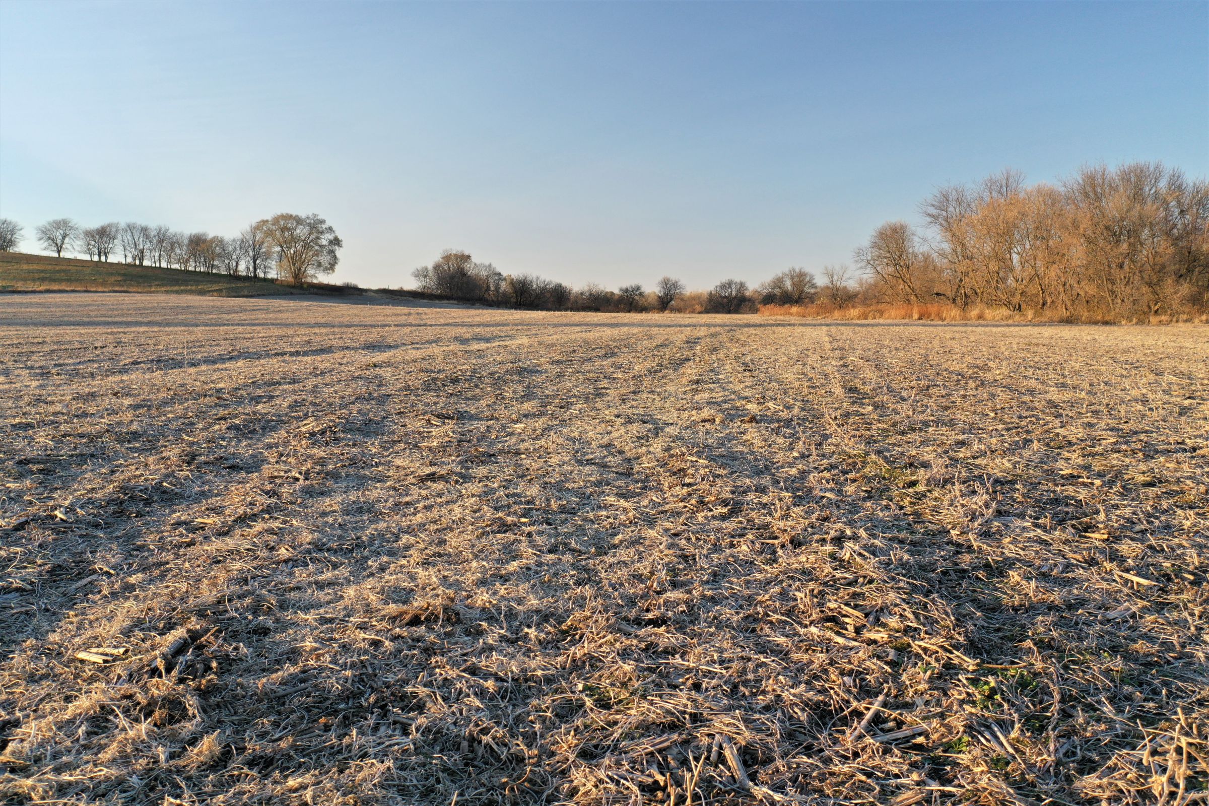 land-madison-county-iowa-91-acres-listing-number-15235-0-2020-11-05-044931.jpg