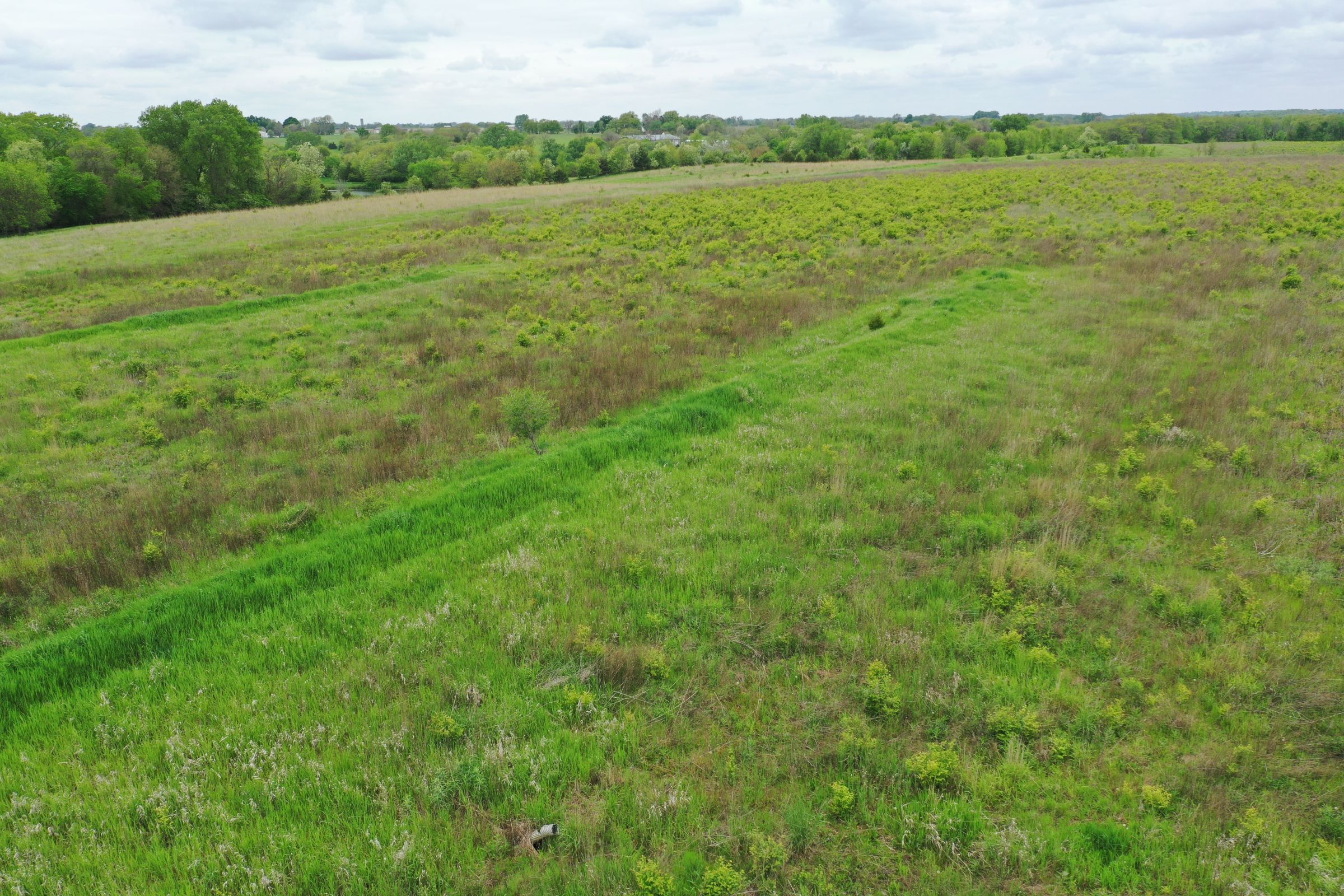 Dallas County Iowa Farm Land For Sale