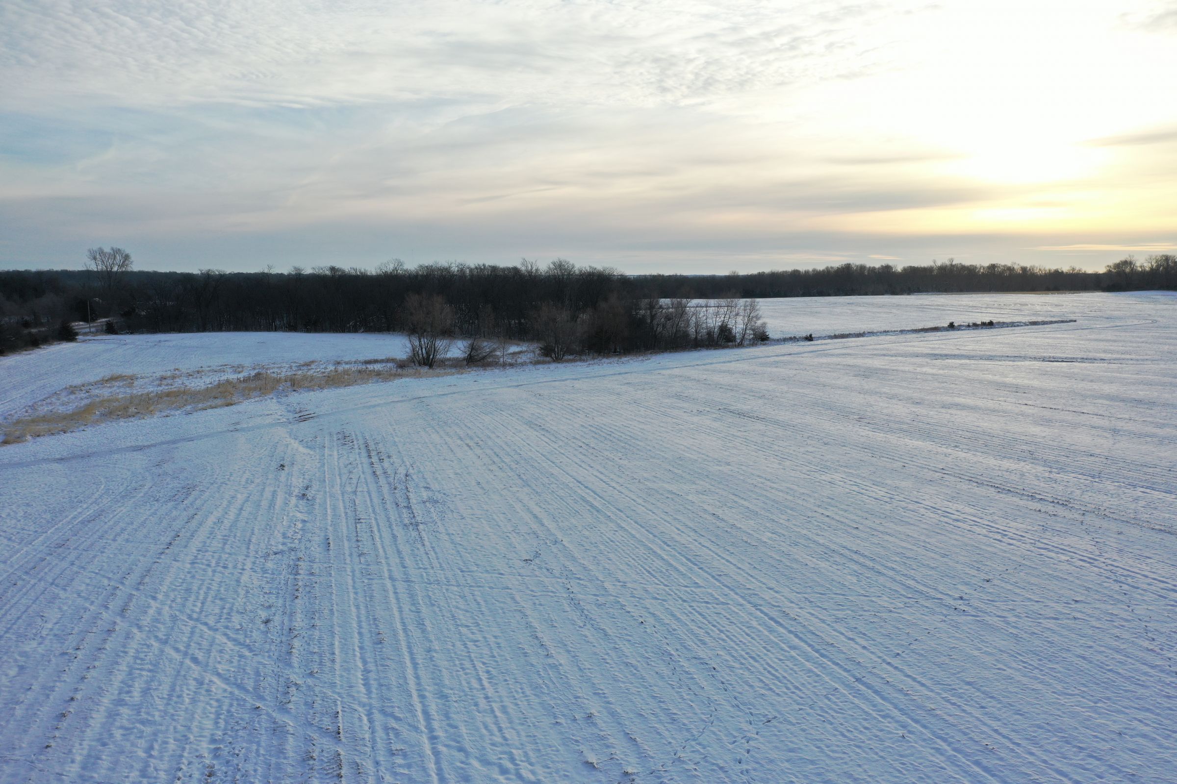 land-dallas-county-iowa-52-acres-listing-number-15297-1-2020-12-15-221807.JPG