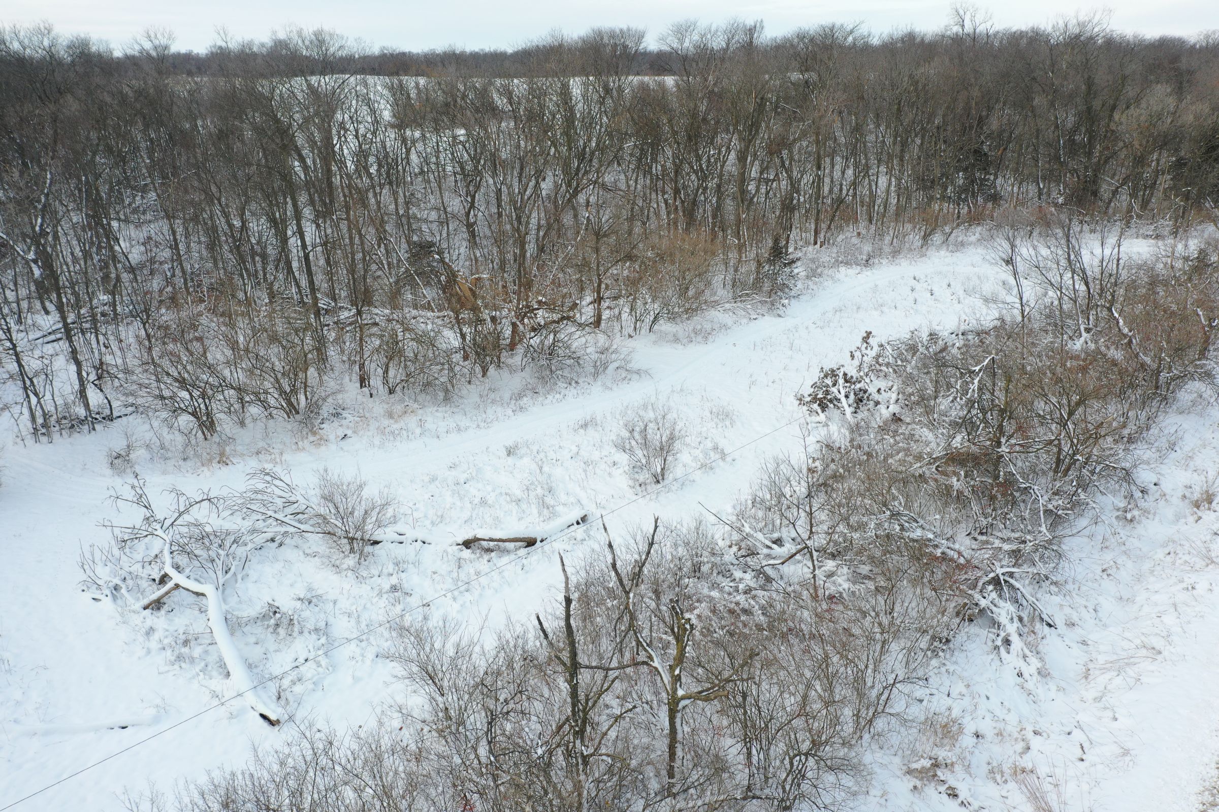 land-dallas-county-iowa-14-acres-listing-number-15298-1-2020-12-15-222742.JPG