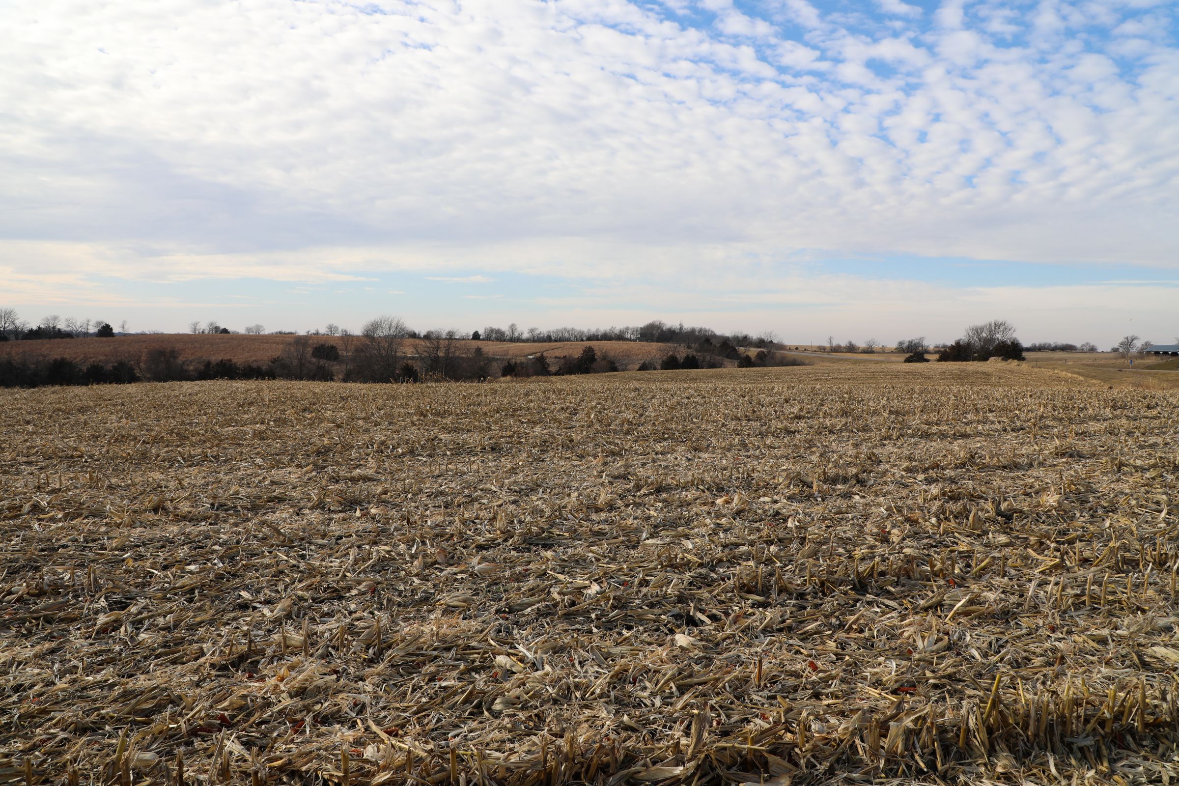 land-appanoose-county-iowa-37-acres-listing-number-15307-0-2020-12-24-154237.jpg