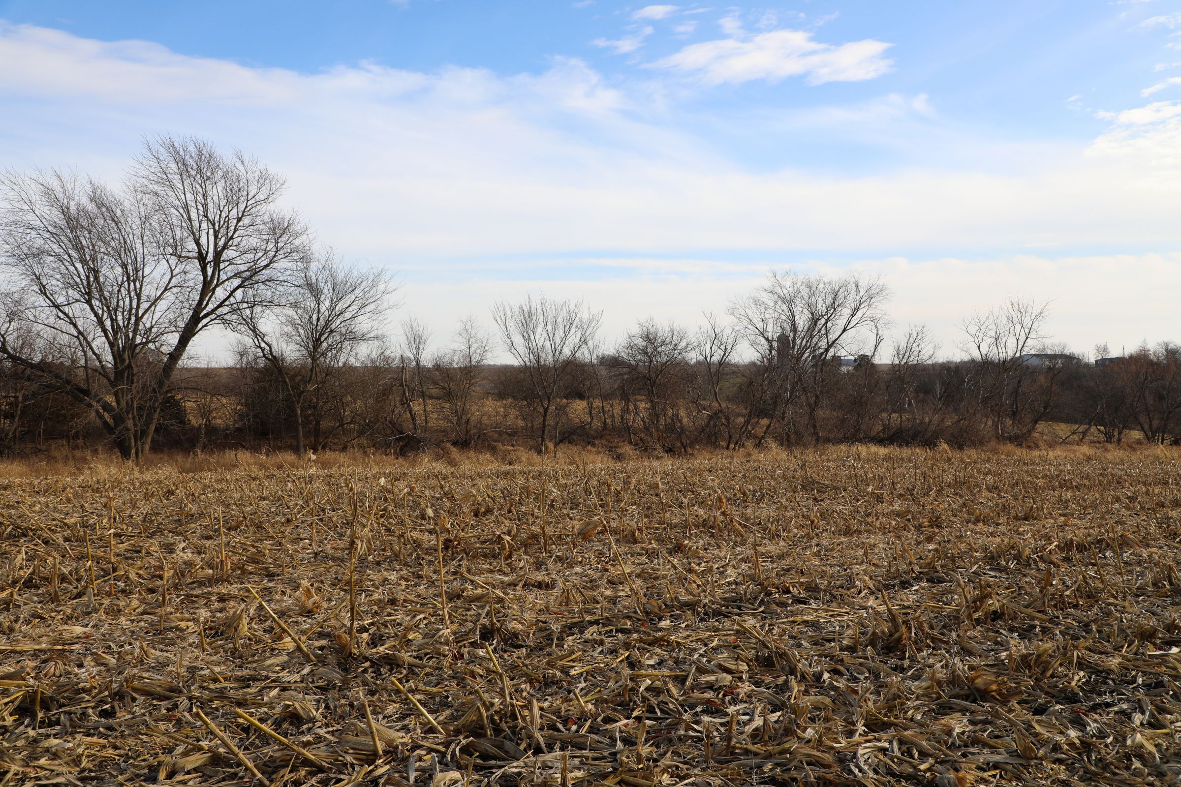 land-appanoose-county-iowa-37-acres-listing-number-15307-0-2020-12-24-154327.jpg