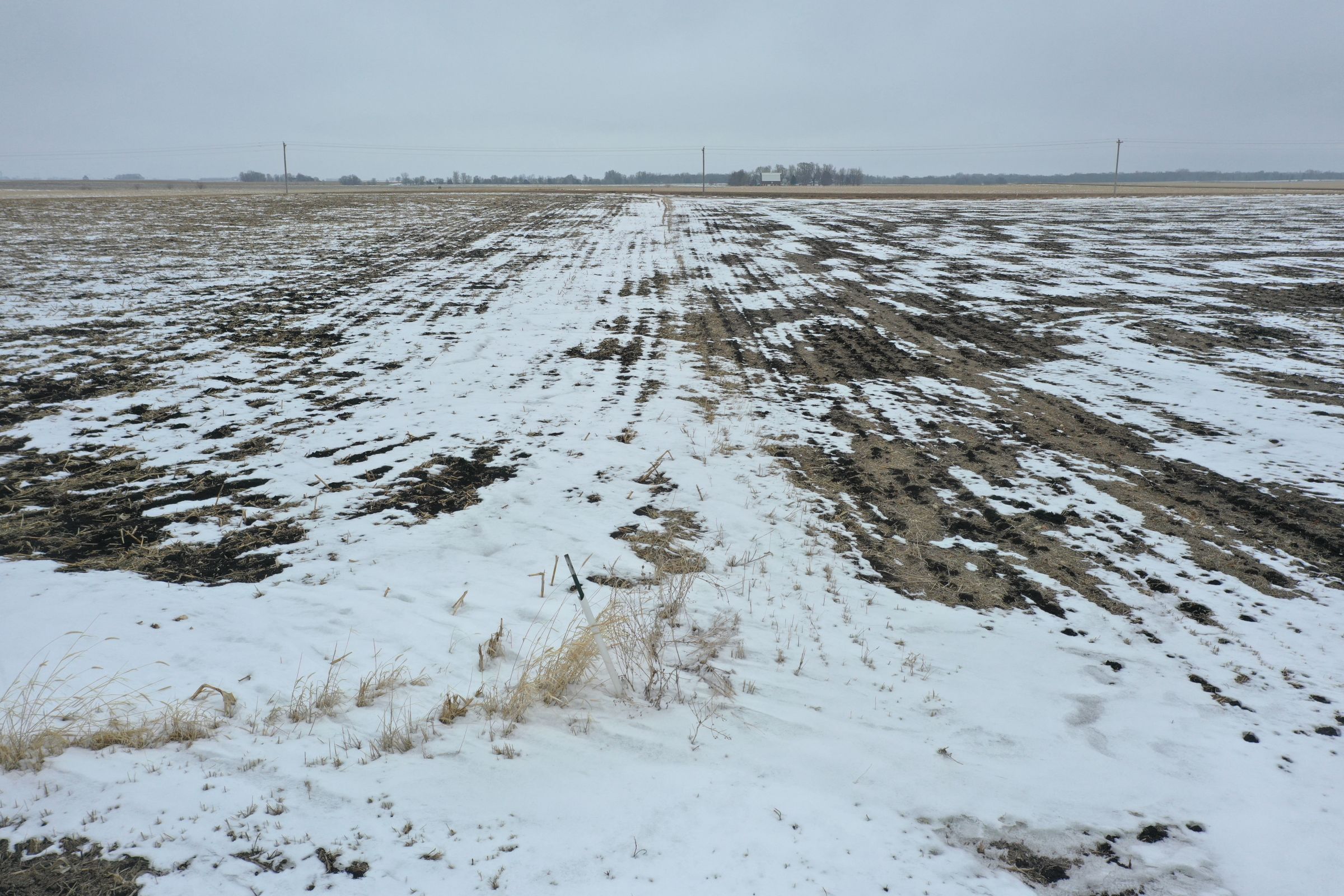 Webster County Iowa Farm Land For Sale