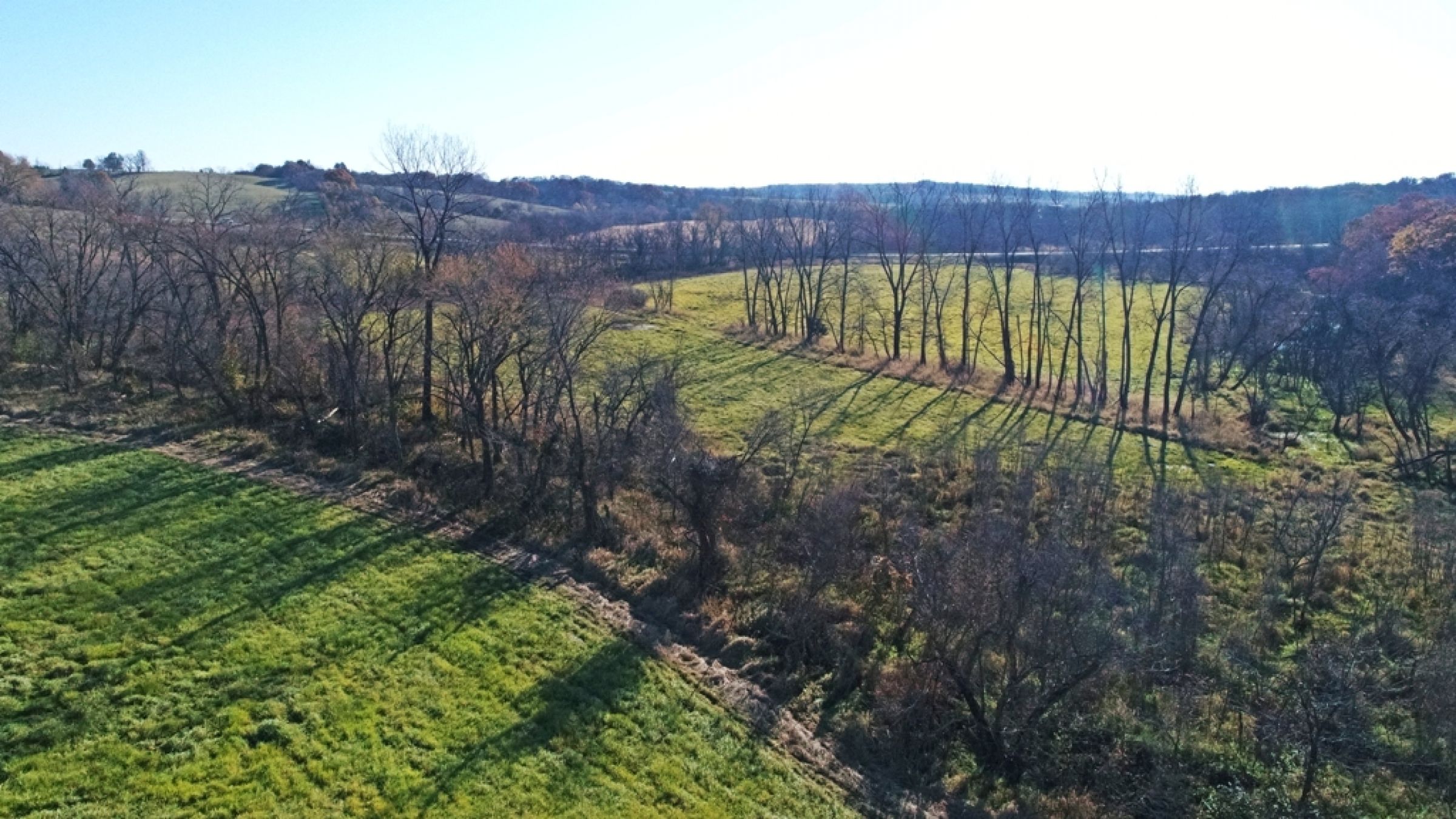 land-lucas-county-iowa-59-acres-listing-number-15316-1-2021-01-11-153942.JPG