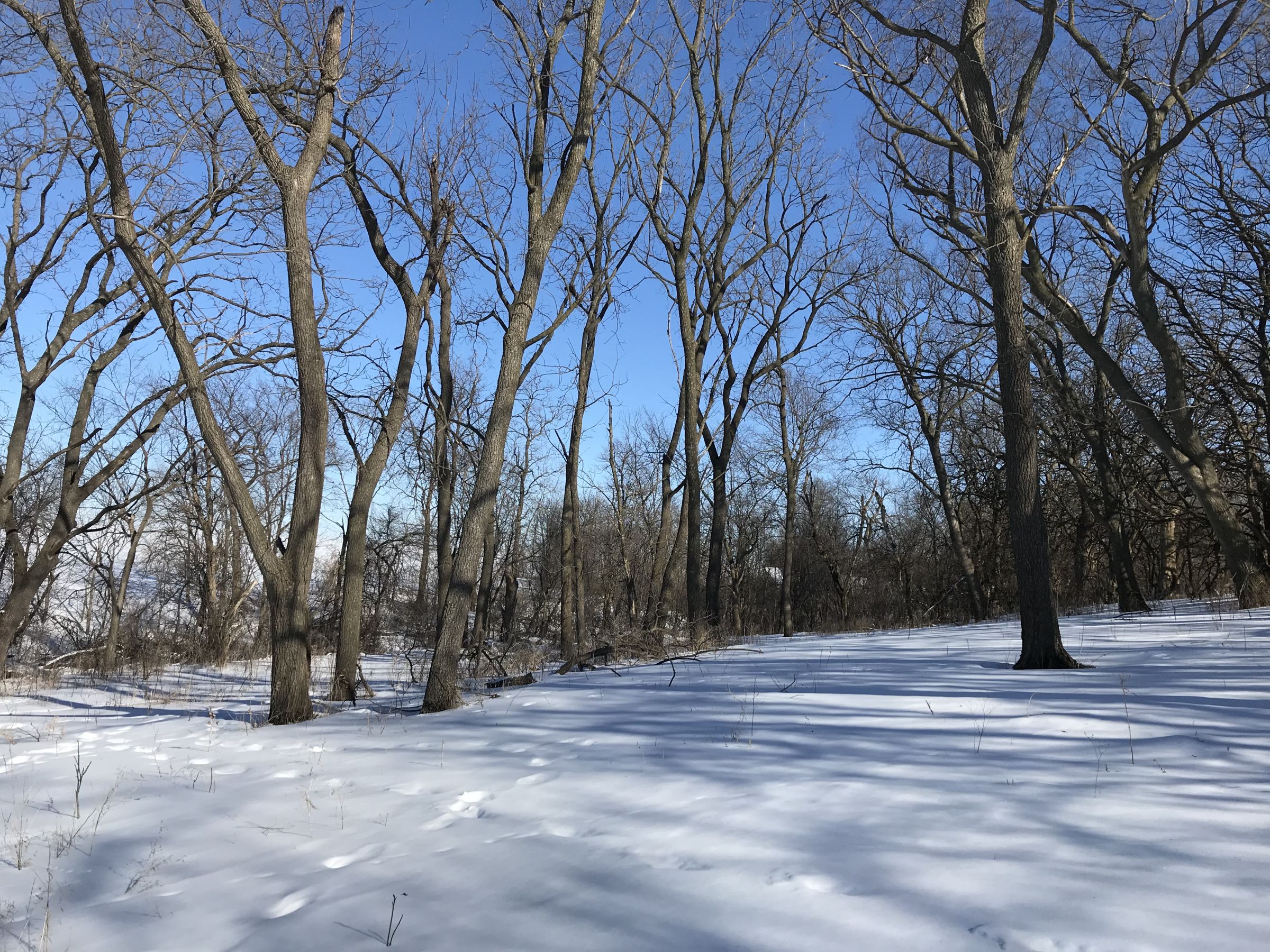 residential-warren-county-iowa-7-acres-listing-number-15327-0-2021-02-16-233206.jpg